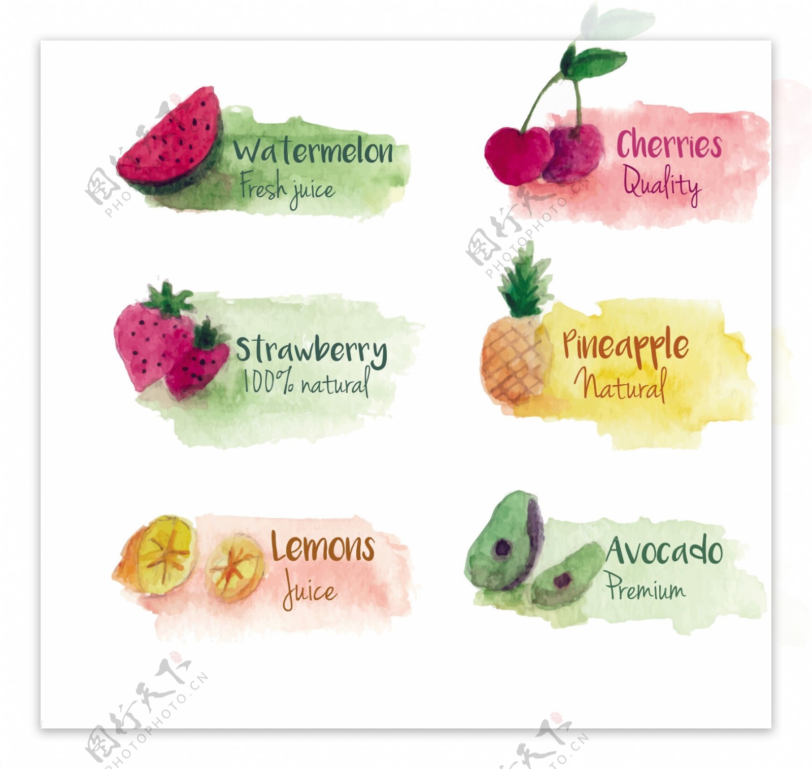美丽的水彩水果标签