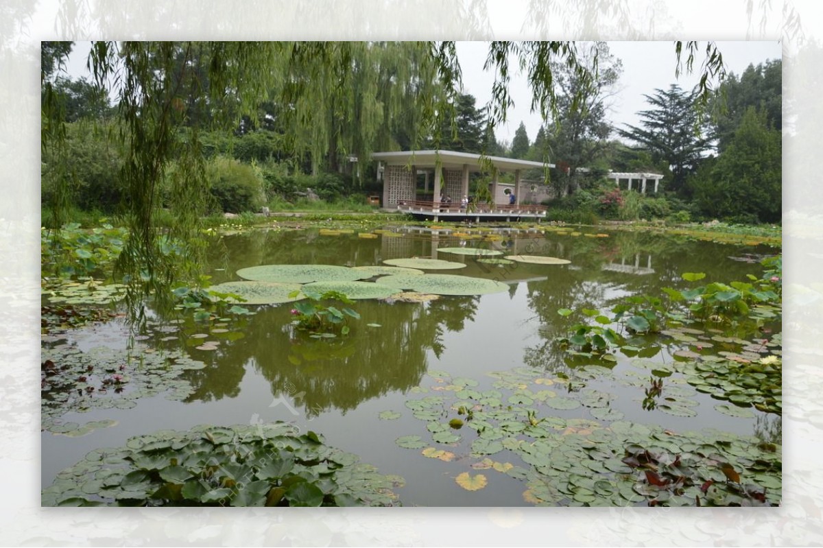 南植物园风景