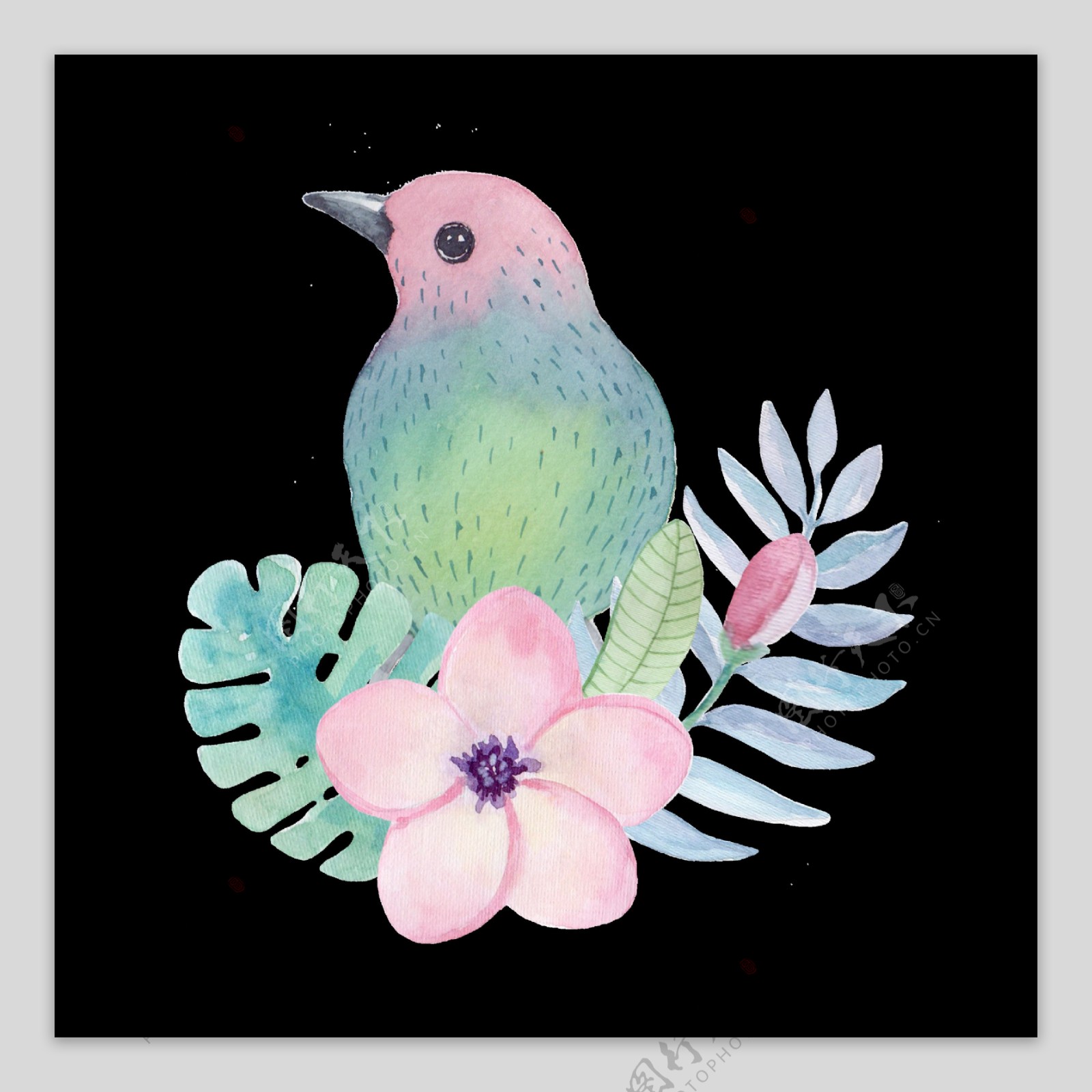 水彩鸟透明装饰图案