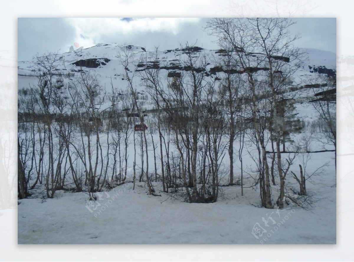 山林雪景