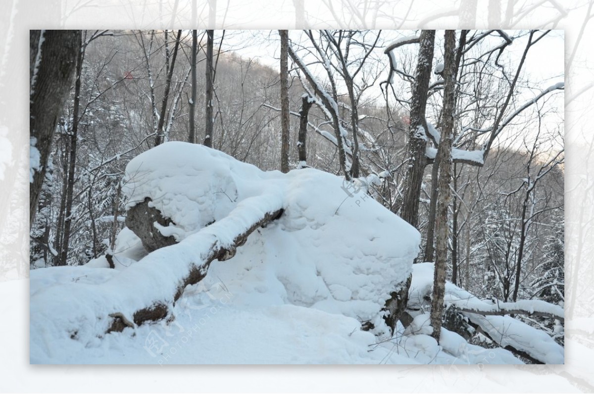 雪乡