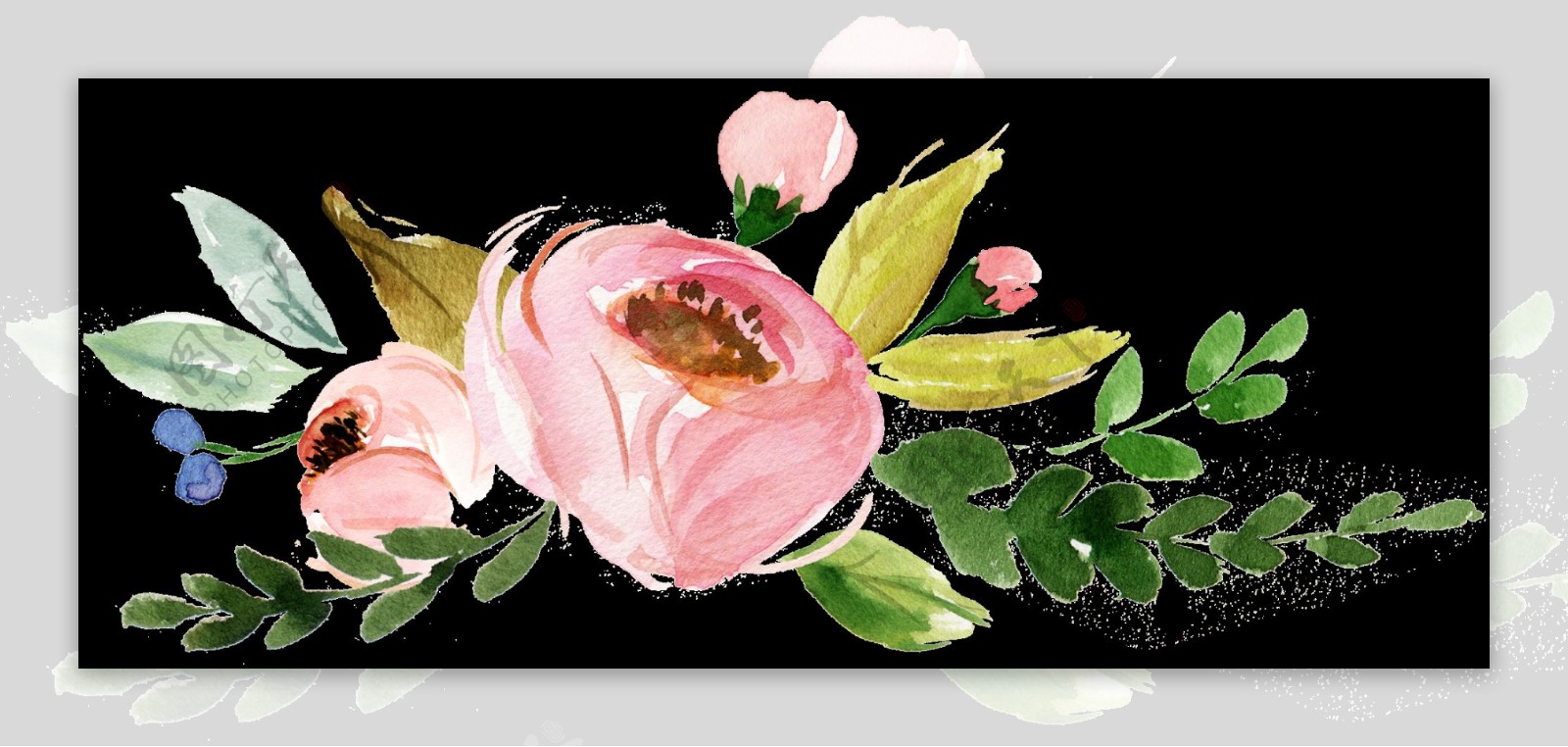 水彩绘画花卉透明素材