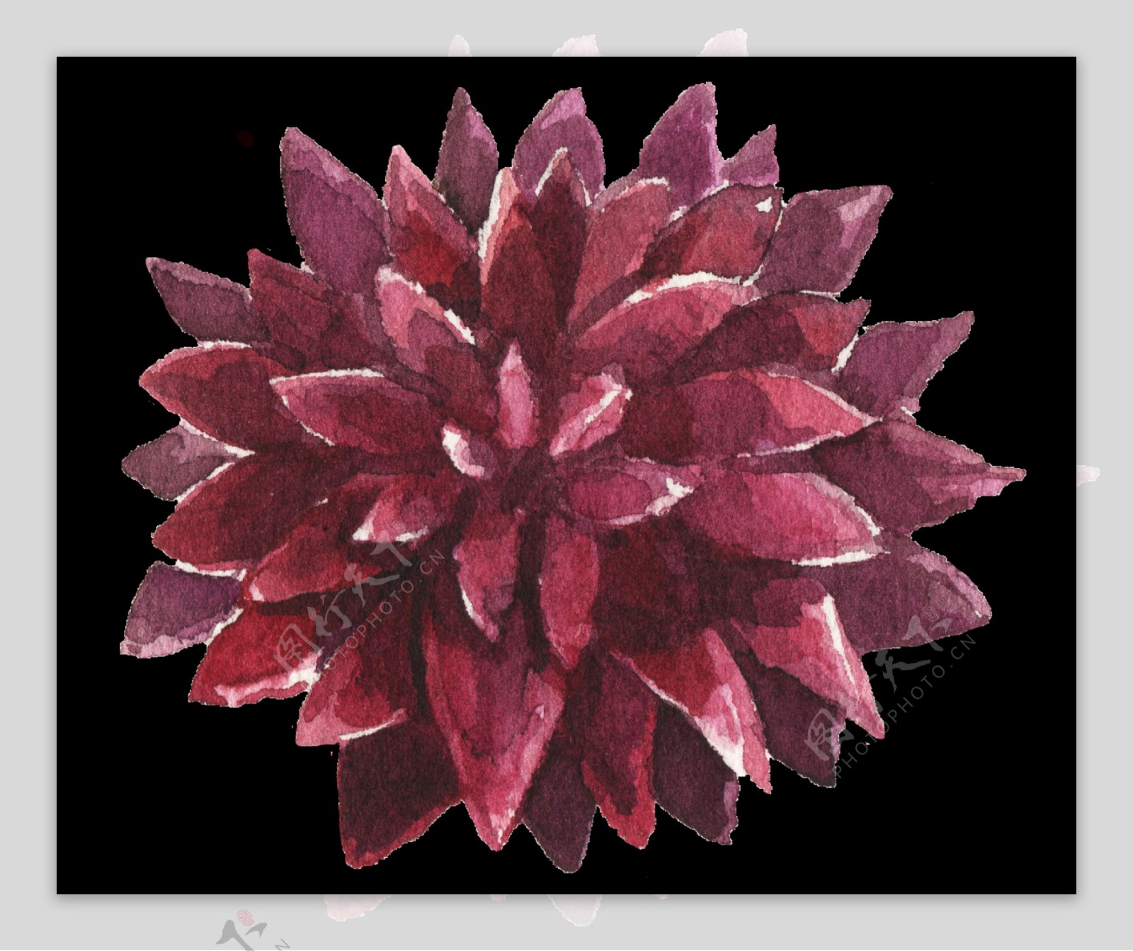 红色带刺花卉透明素材