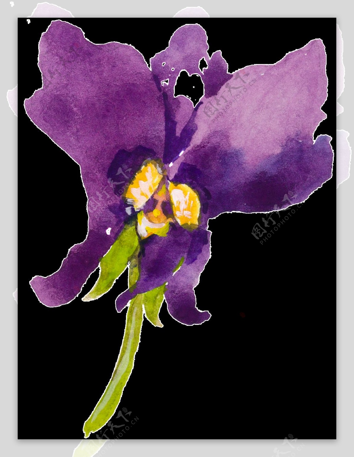 紫色卡通蝴蝶兰水彩透明素材