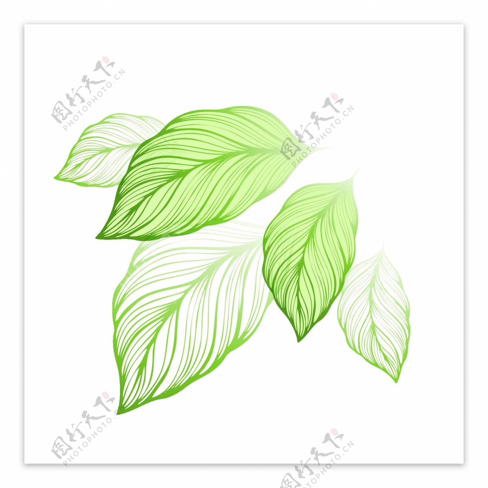绿色卡通树叶图片素材免费下载 - 觅知网