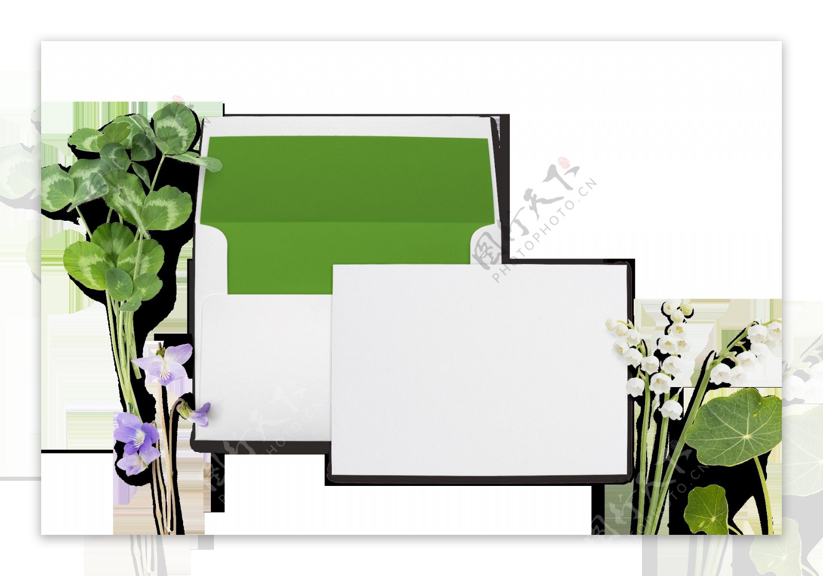 白色画板绿叶png元素素材