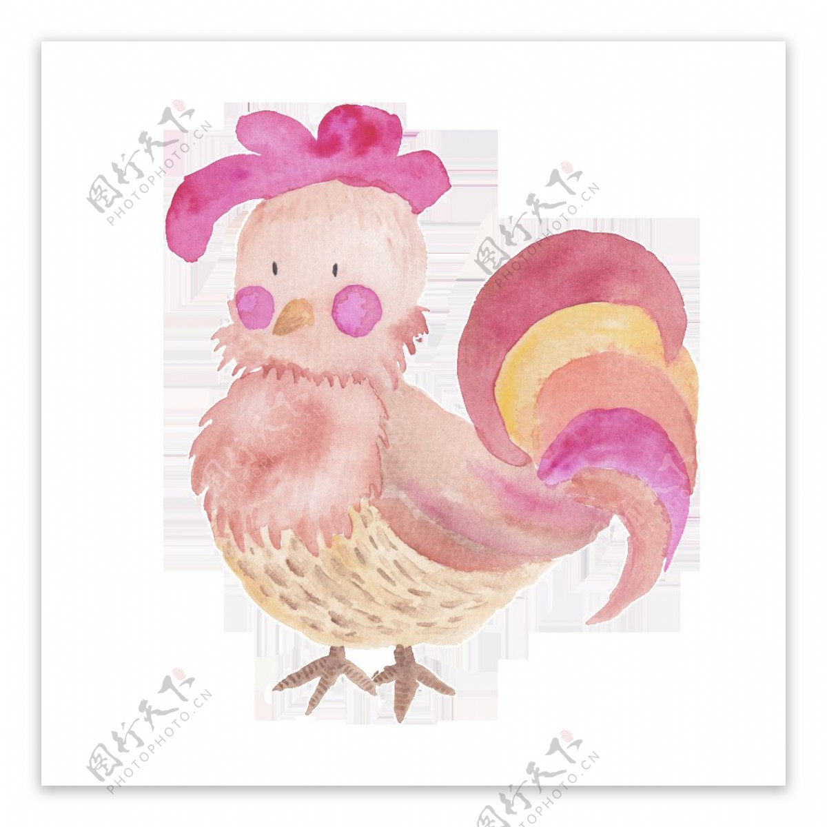 玫红色手绘公鸡透明卡通素材装饰