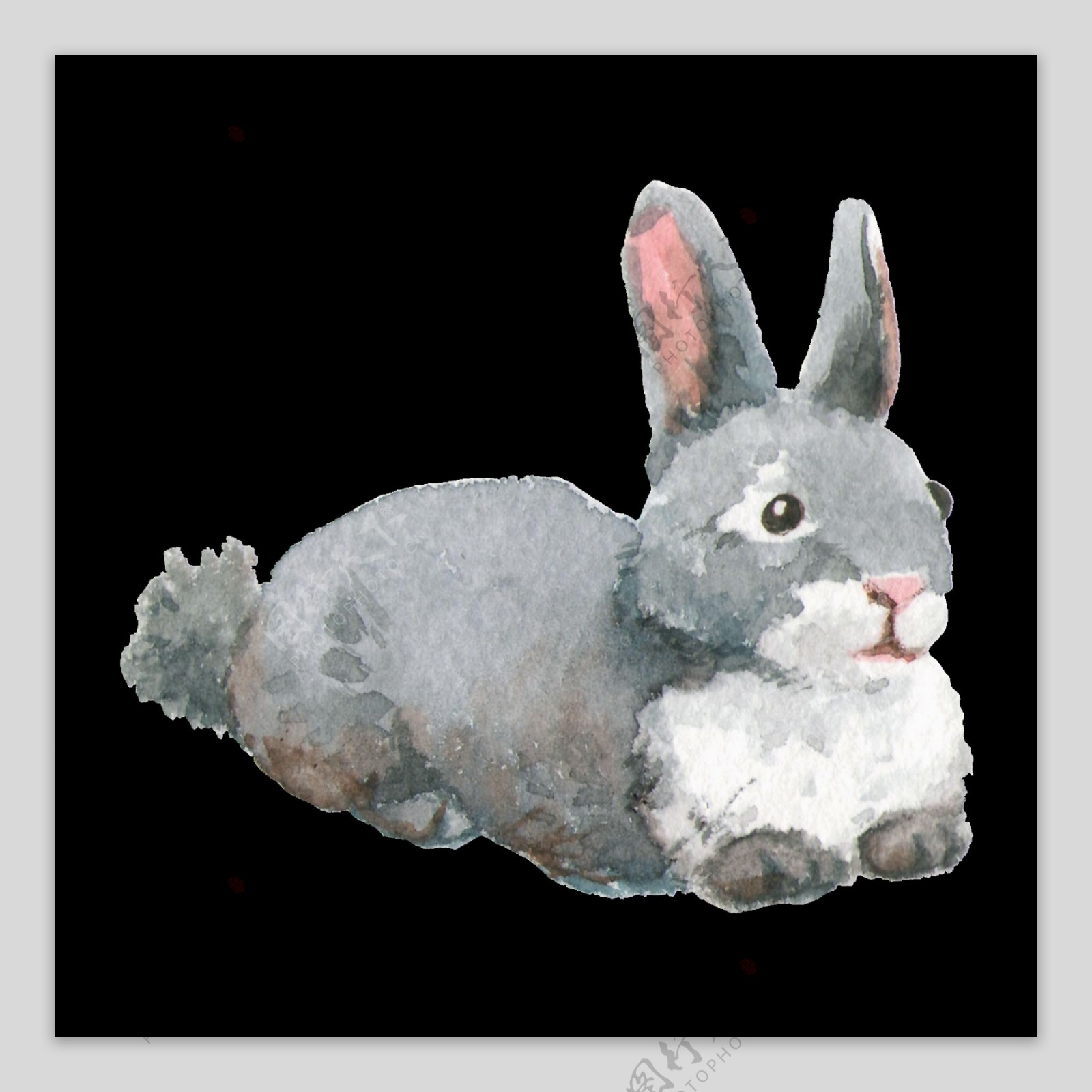 彩绘毛绒玩具兔子装饰图案