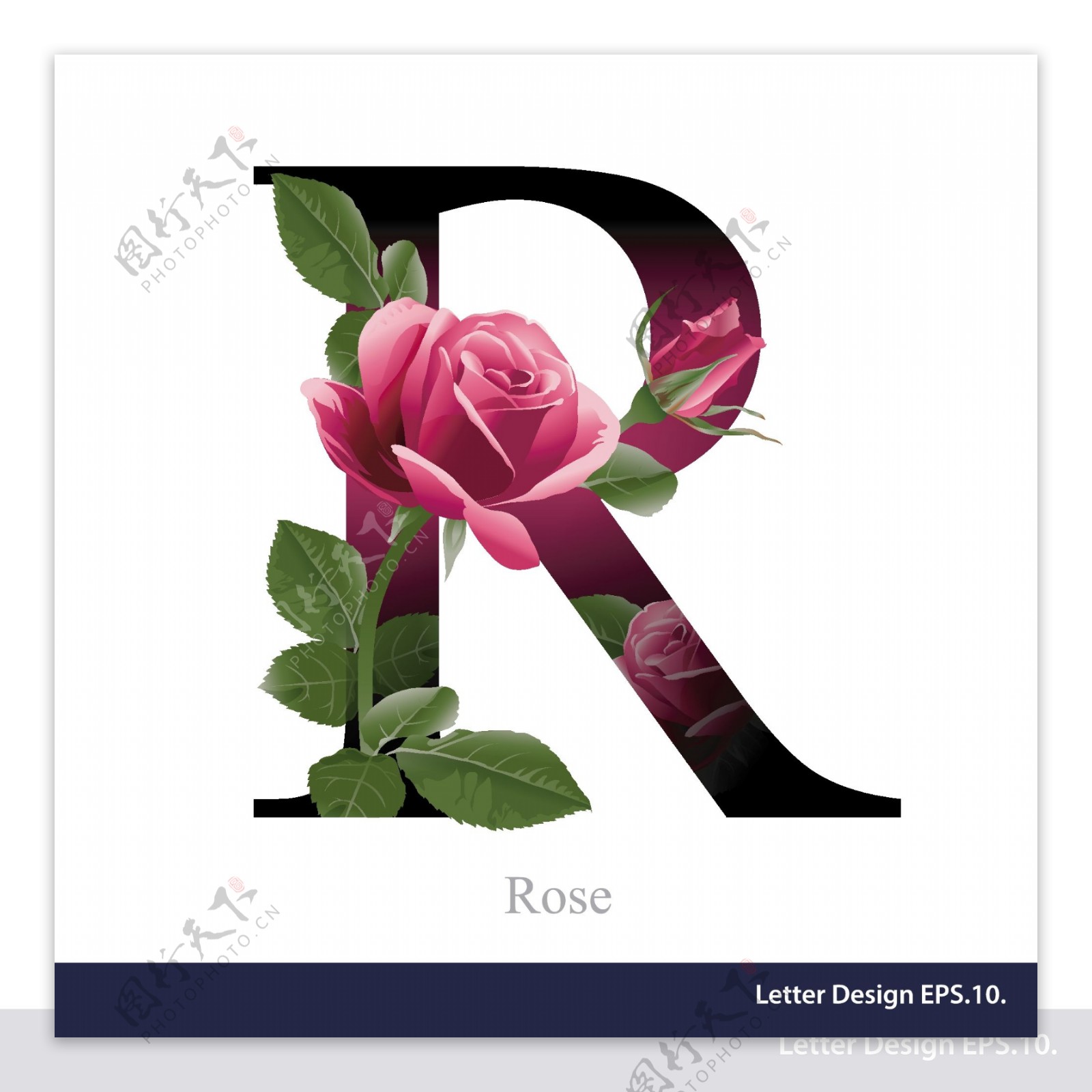热带花卉英文字母字体R设计