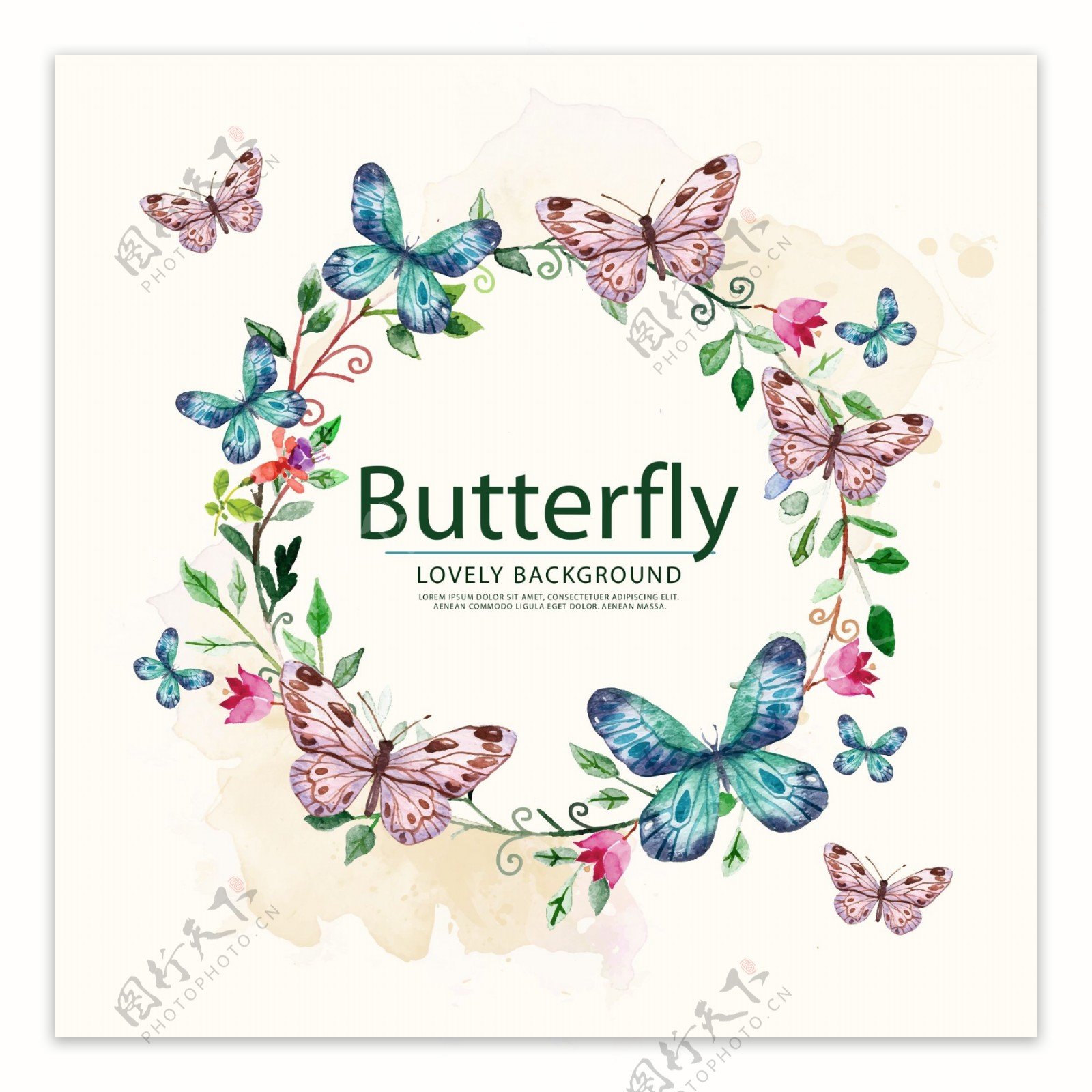 手绘花朵和蝴蝶边框