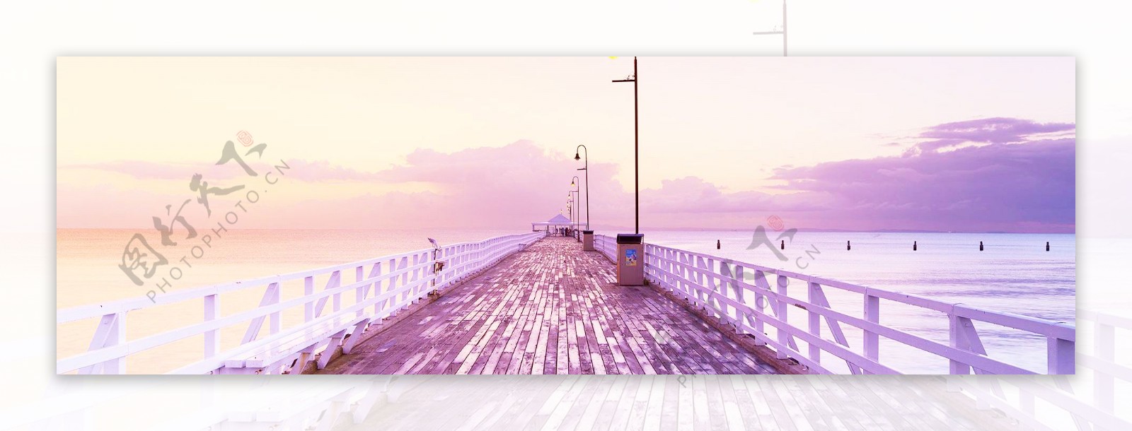 紫色大桥风景banner背景