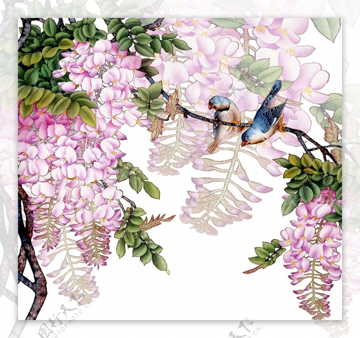 手绘彩色植物花朵花边小鸟装饰画