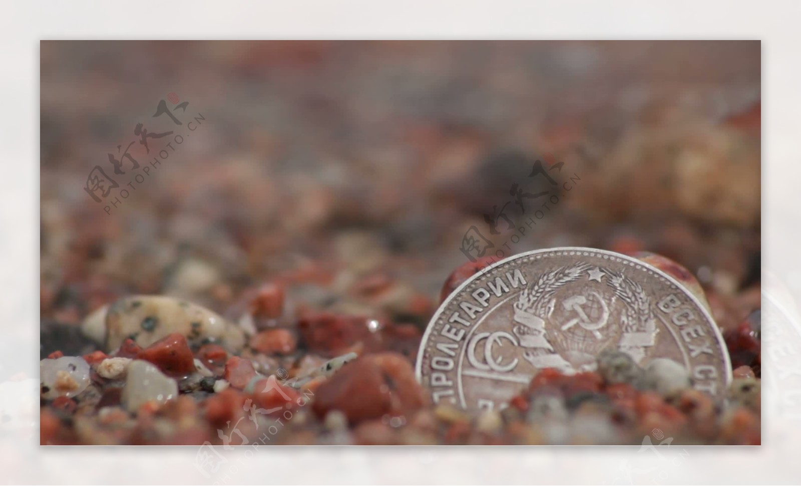 湿砂中的硬币