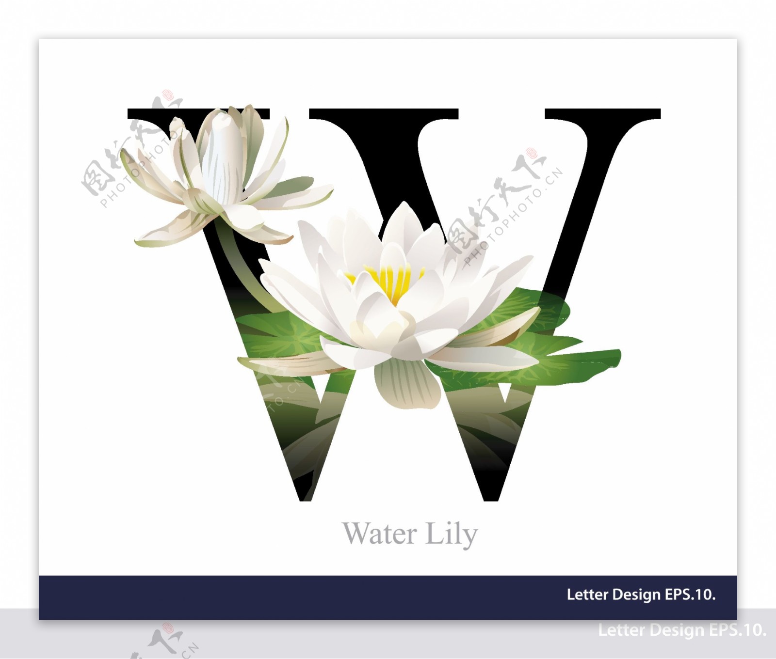 花卉英文字母w字体设计