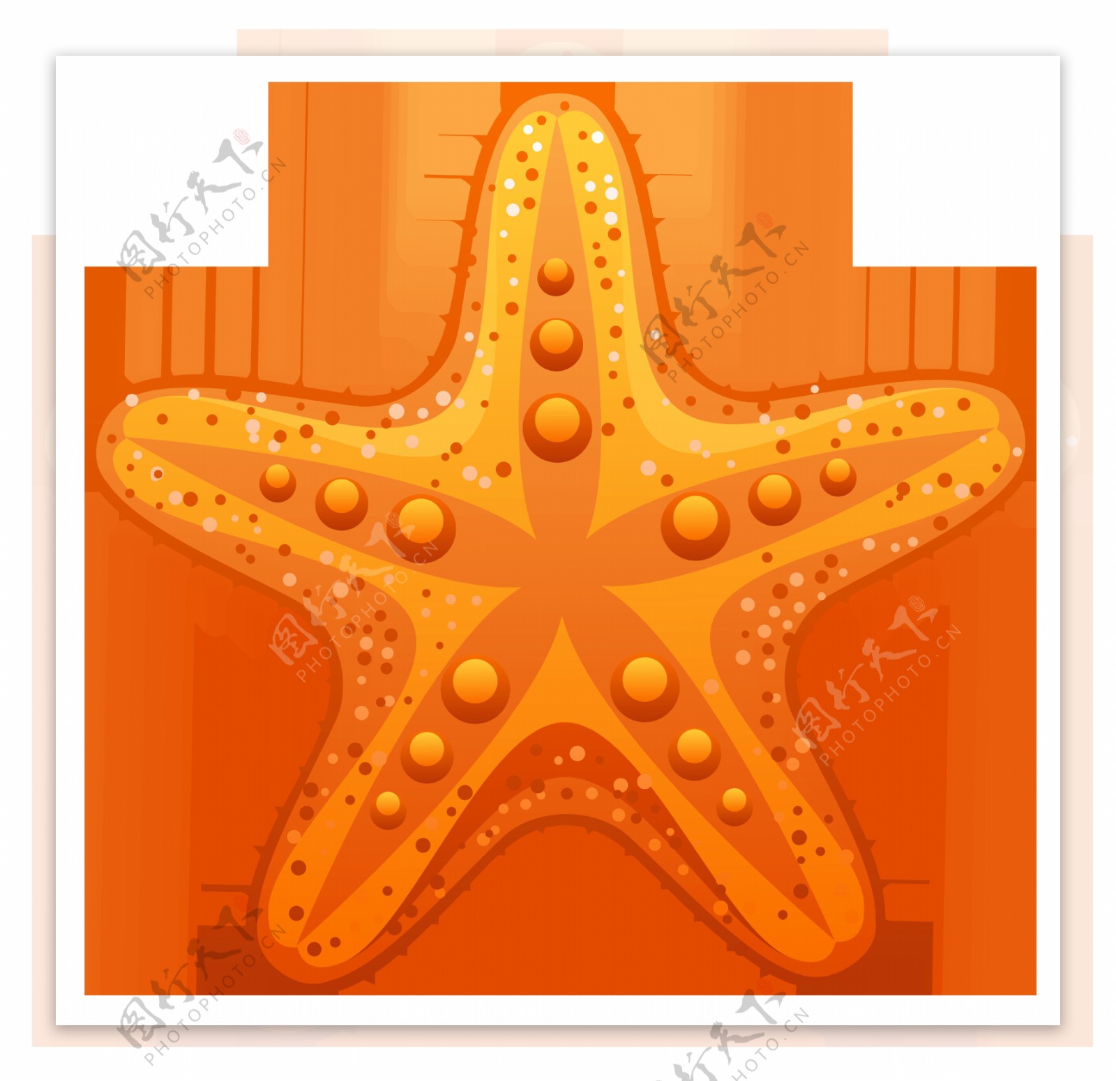 手绘漂亮橙色海星免抠png透明图层素材