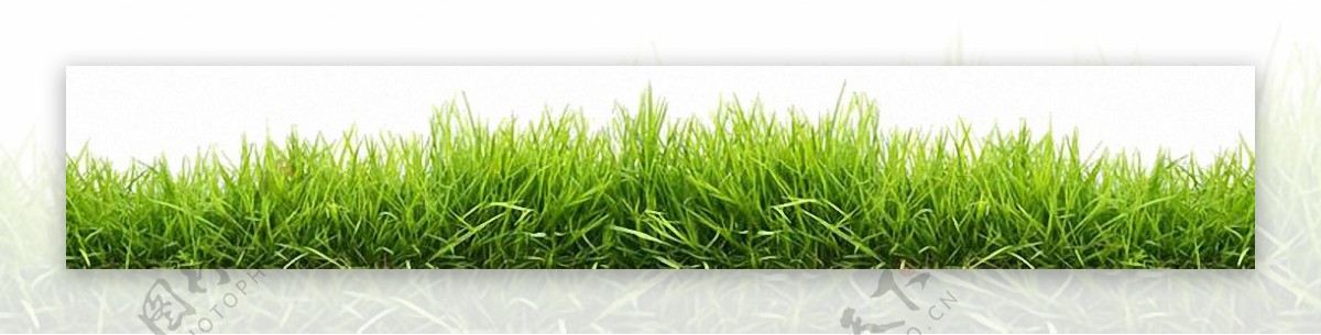 绿色草地装饰边框免抠png透明图层素材