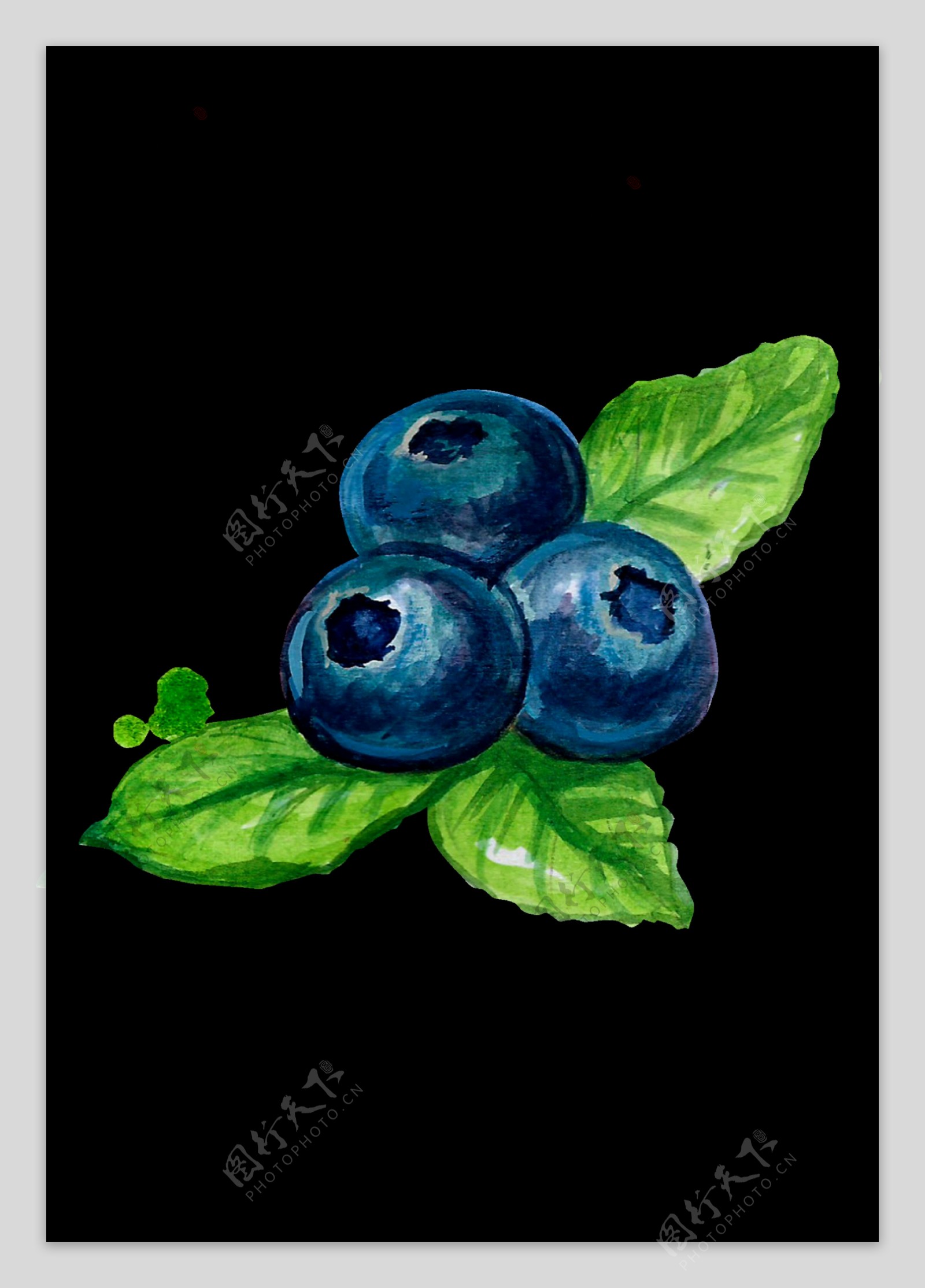 蓝莓透明素材