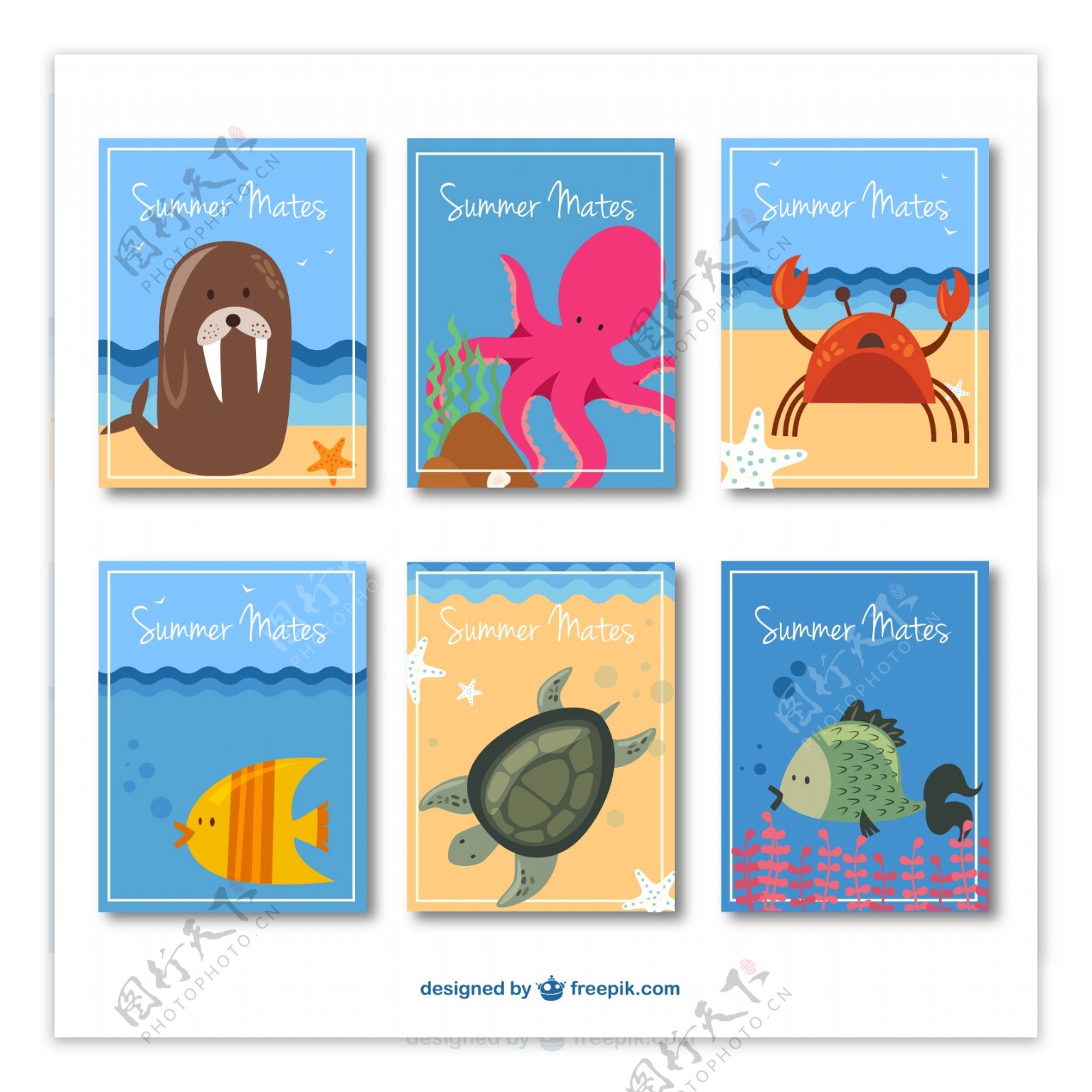8款可爱夏季动物卡片矢量