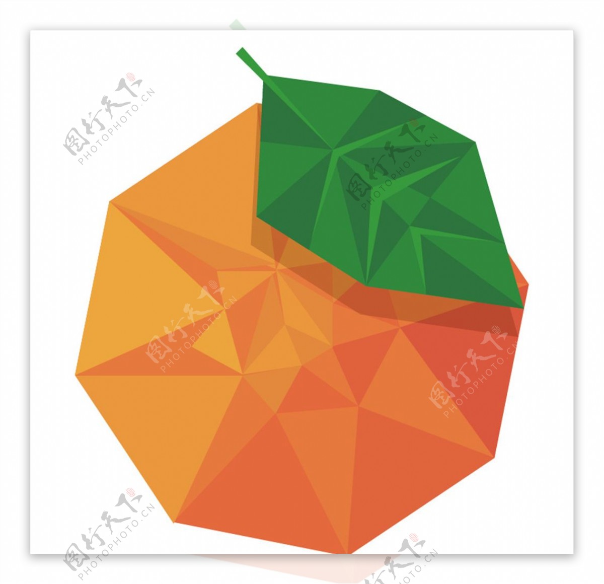 菱形橙子矢量图