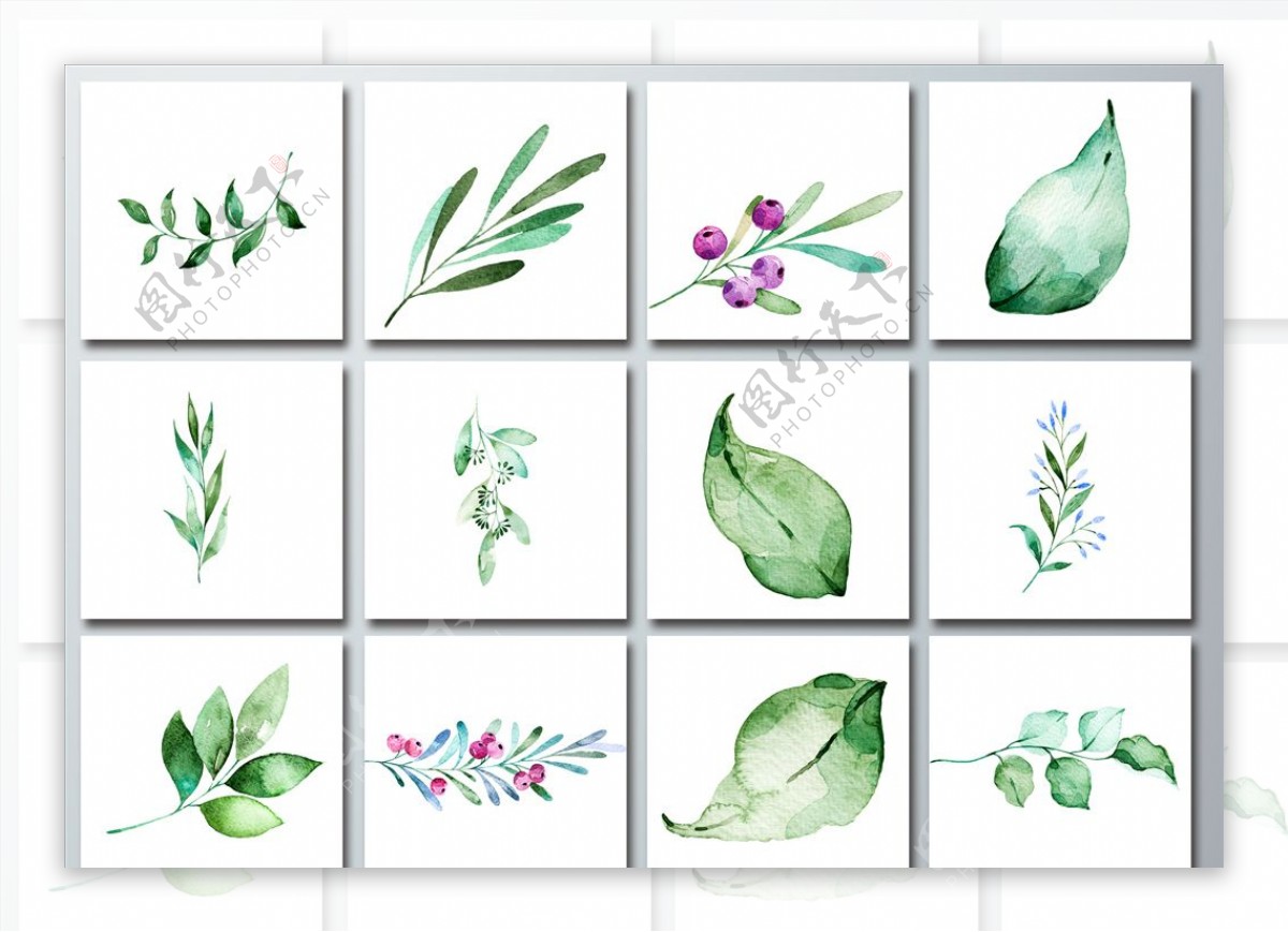 水彩手绘植物绿叶png免抠素材