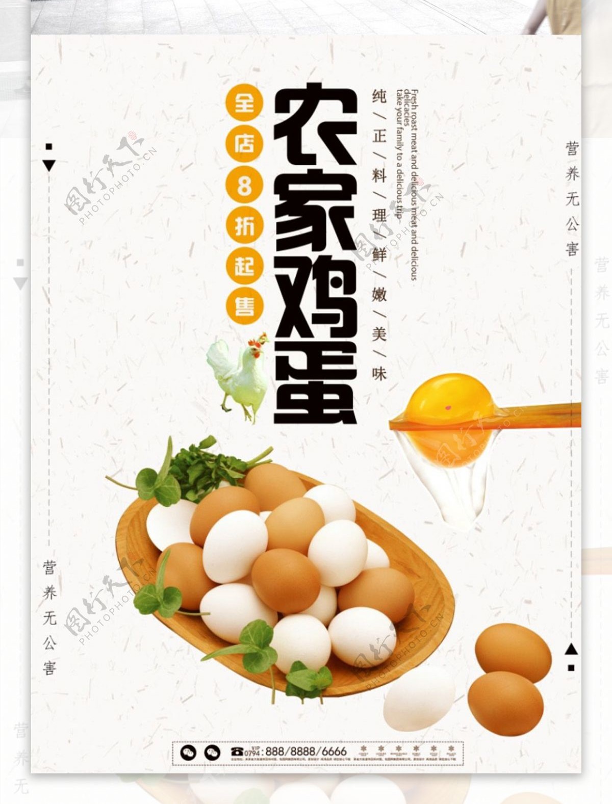 中国风农家鸡蛋海报