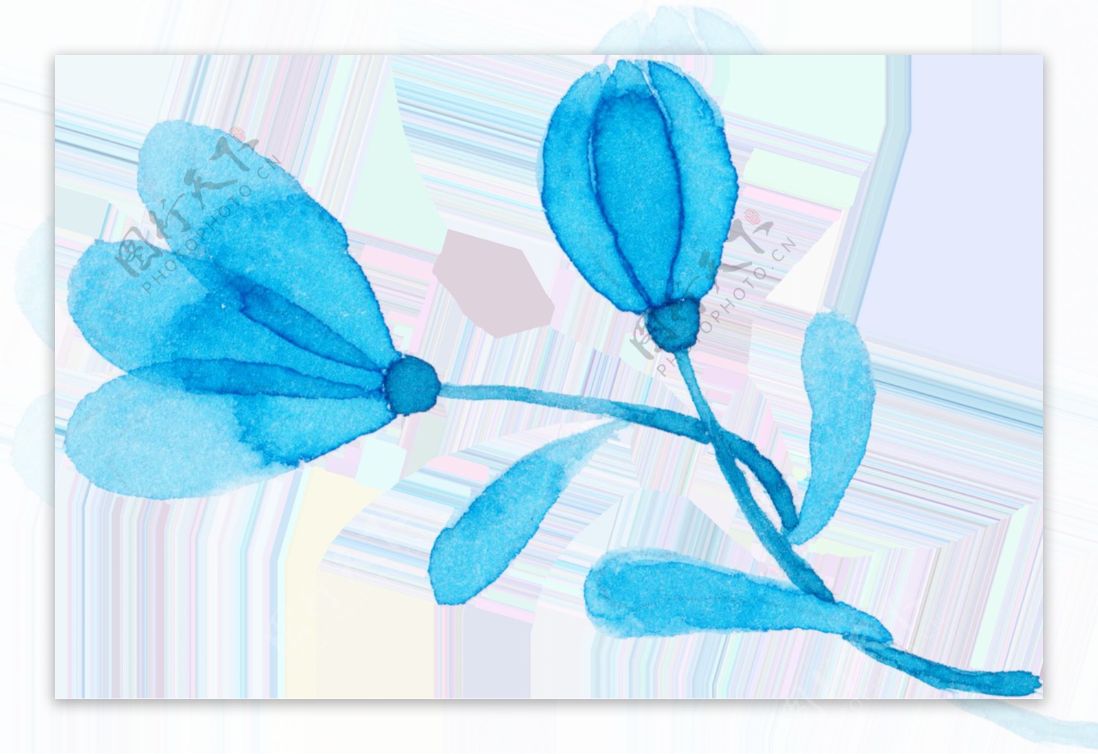 淡色系花卉卡通透明素材