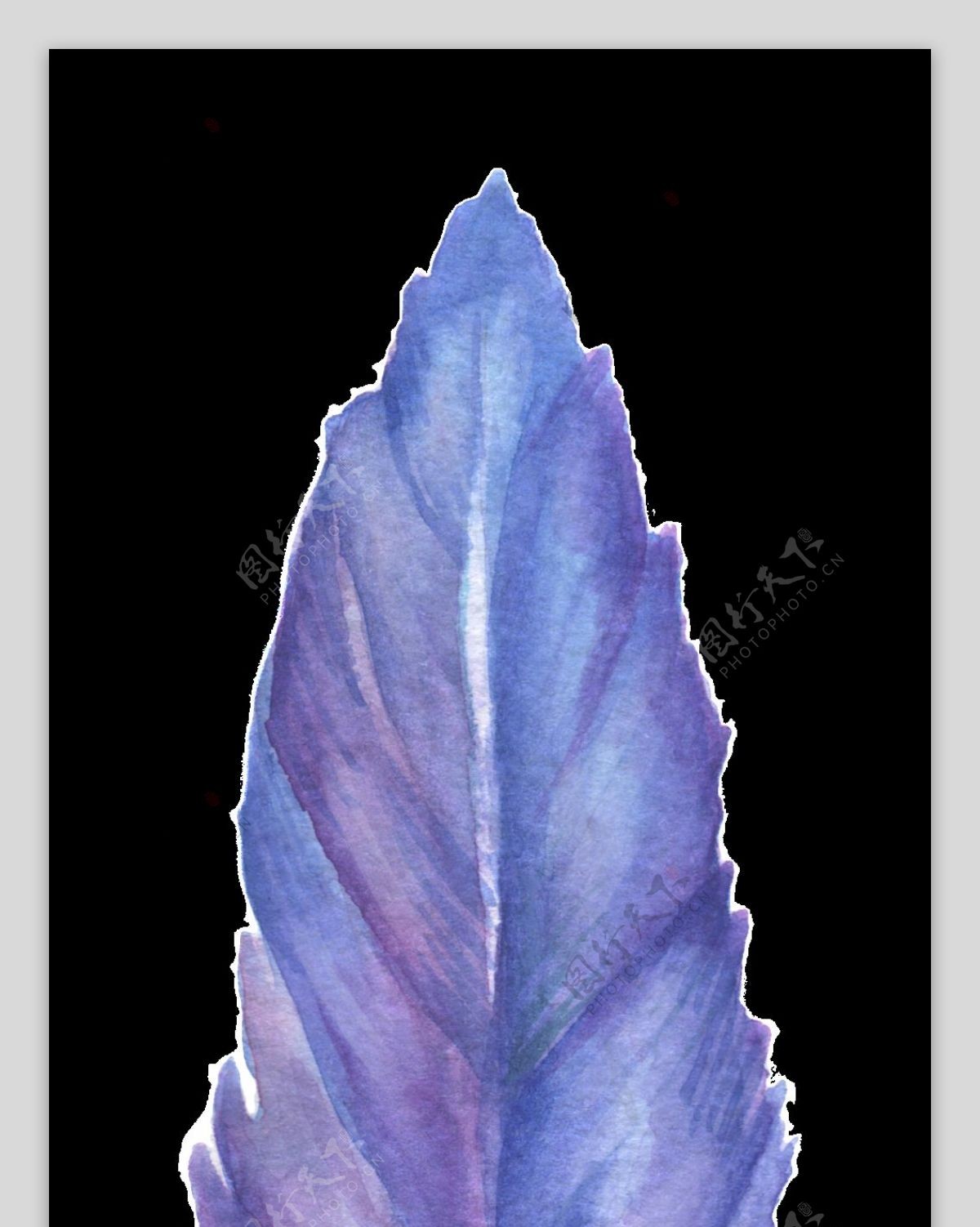 蓝紫羽翼卡通透明素材