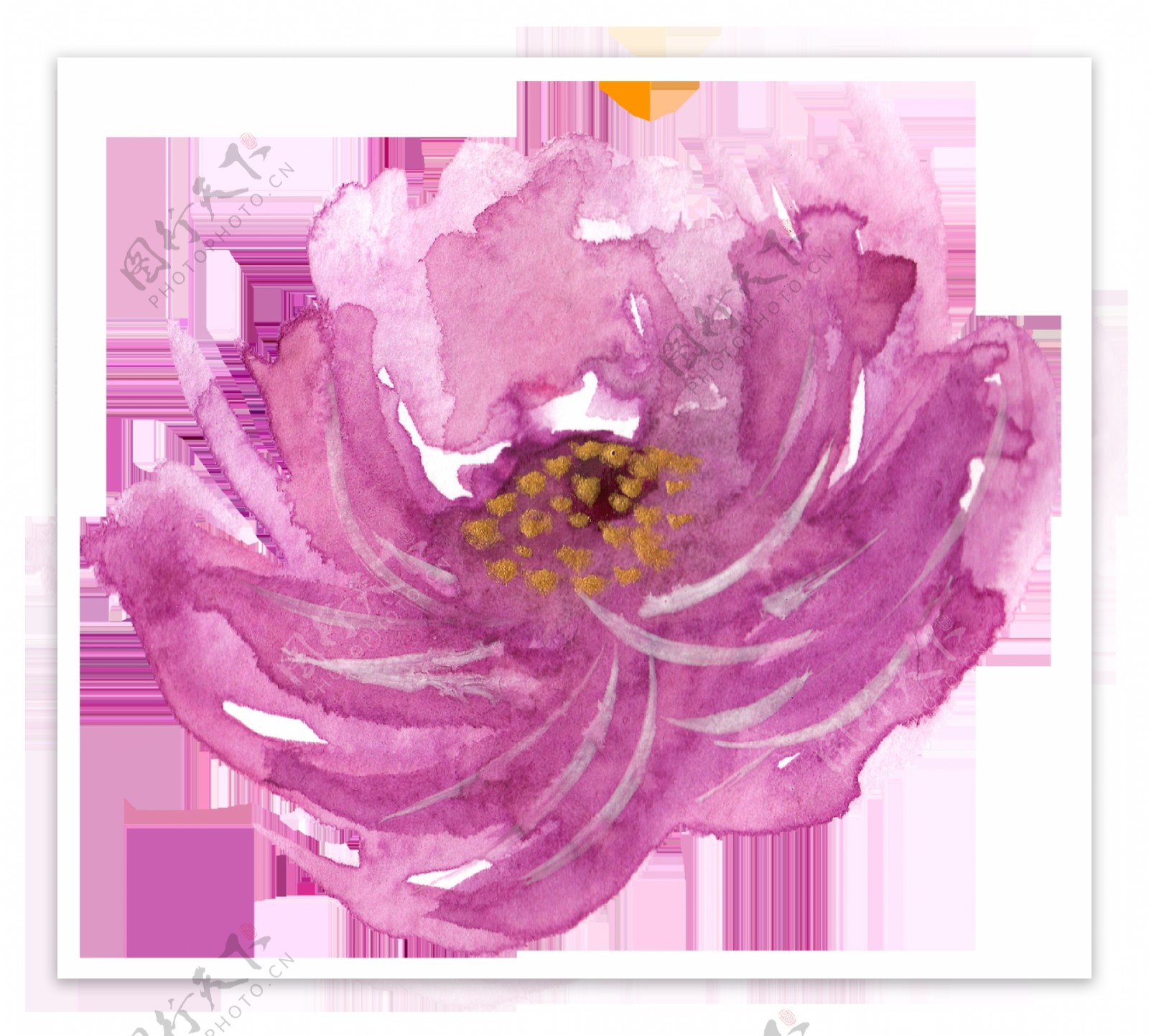紫色鲜花卡通透明素材