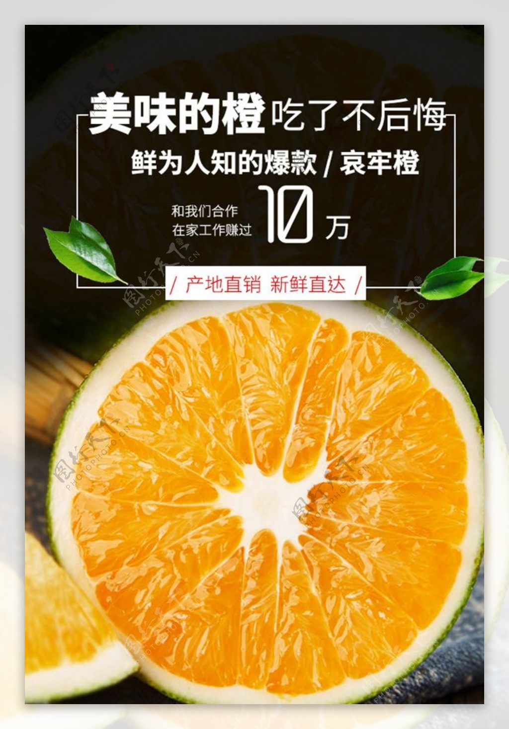 哀牢橙水果大气海报