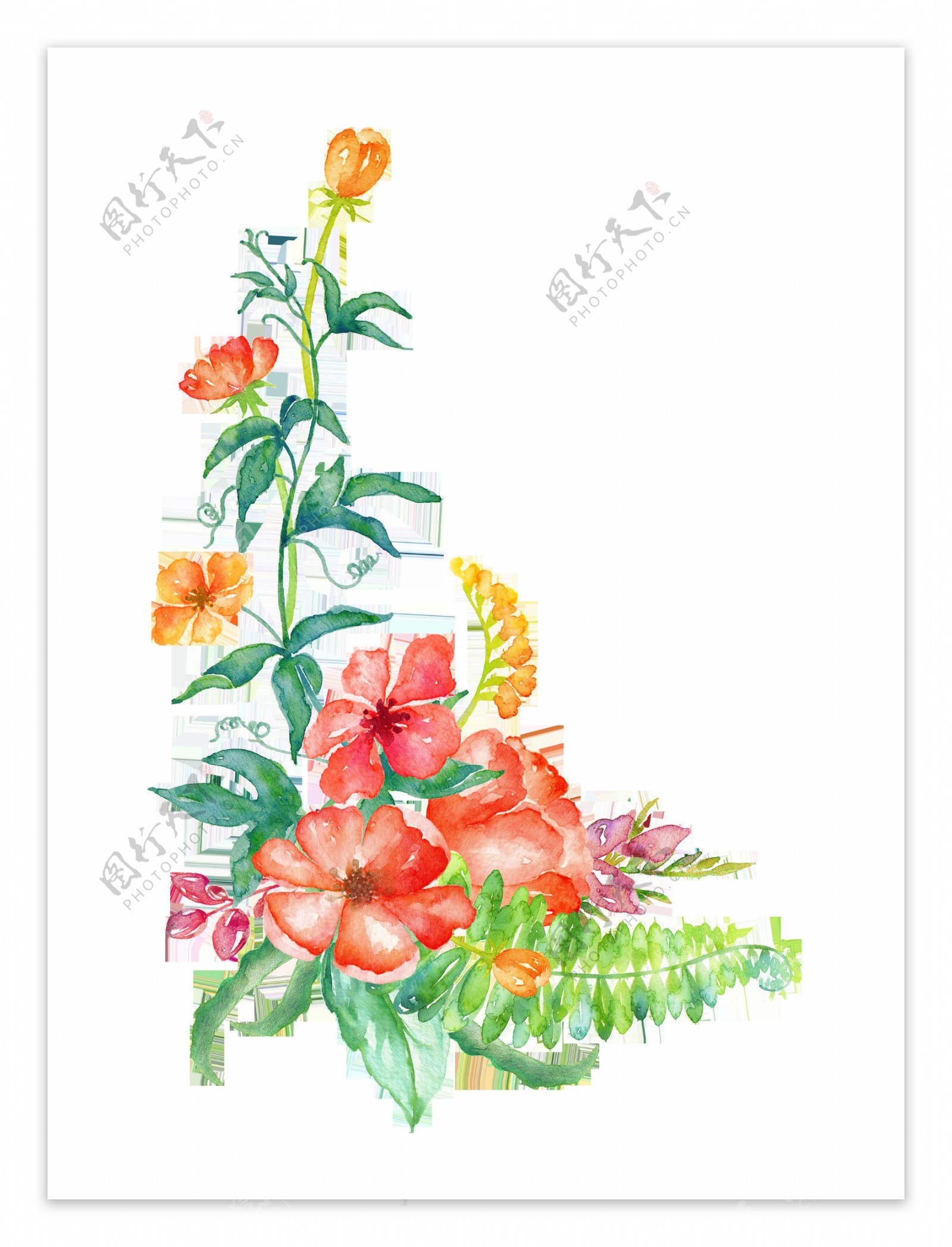 盛开多彩花卉卡通透明装饰素材