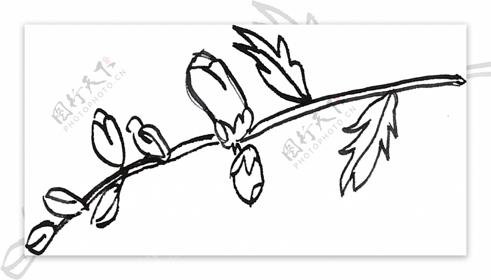 手绘生长花卉卡通水彩透明素材