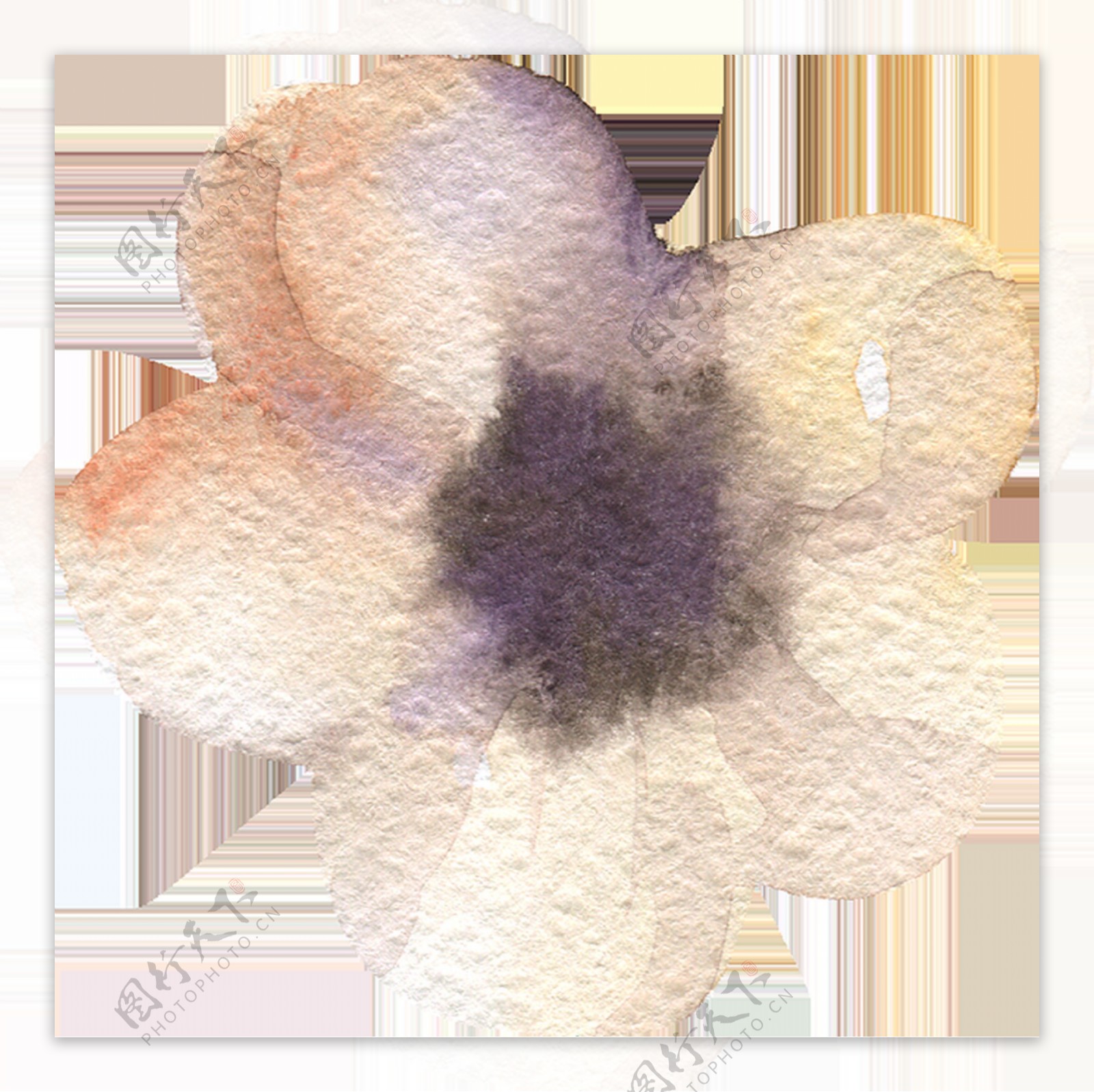 素雅简洁花卉卡通水彩透明素材