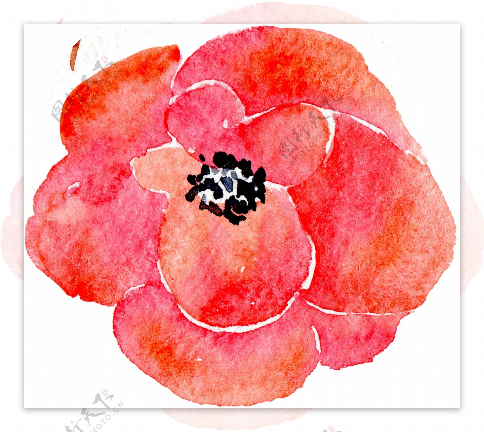 大红艳丽花卉卡通透明素材