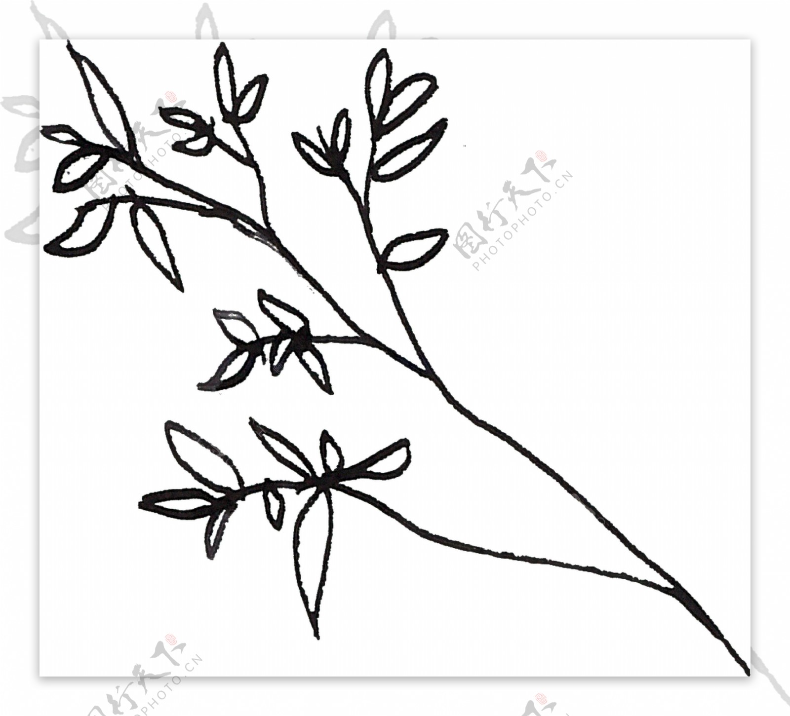 传统黑色植物卡通透明素材