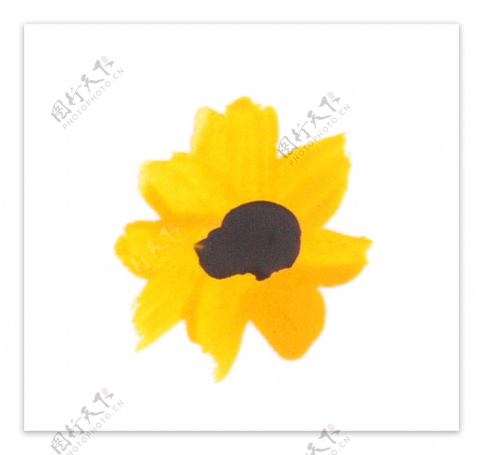 黄色精致太阳花卡通透明素材