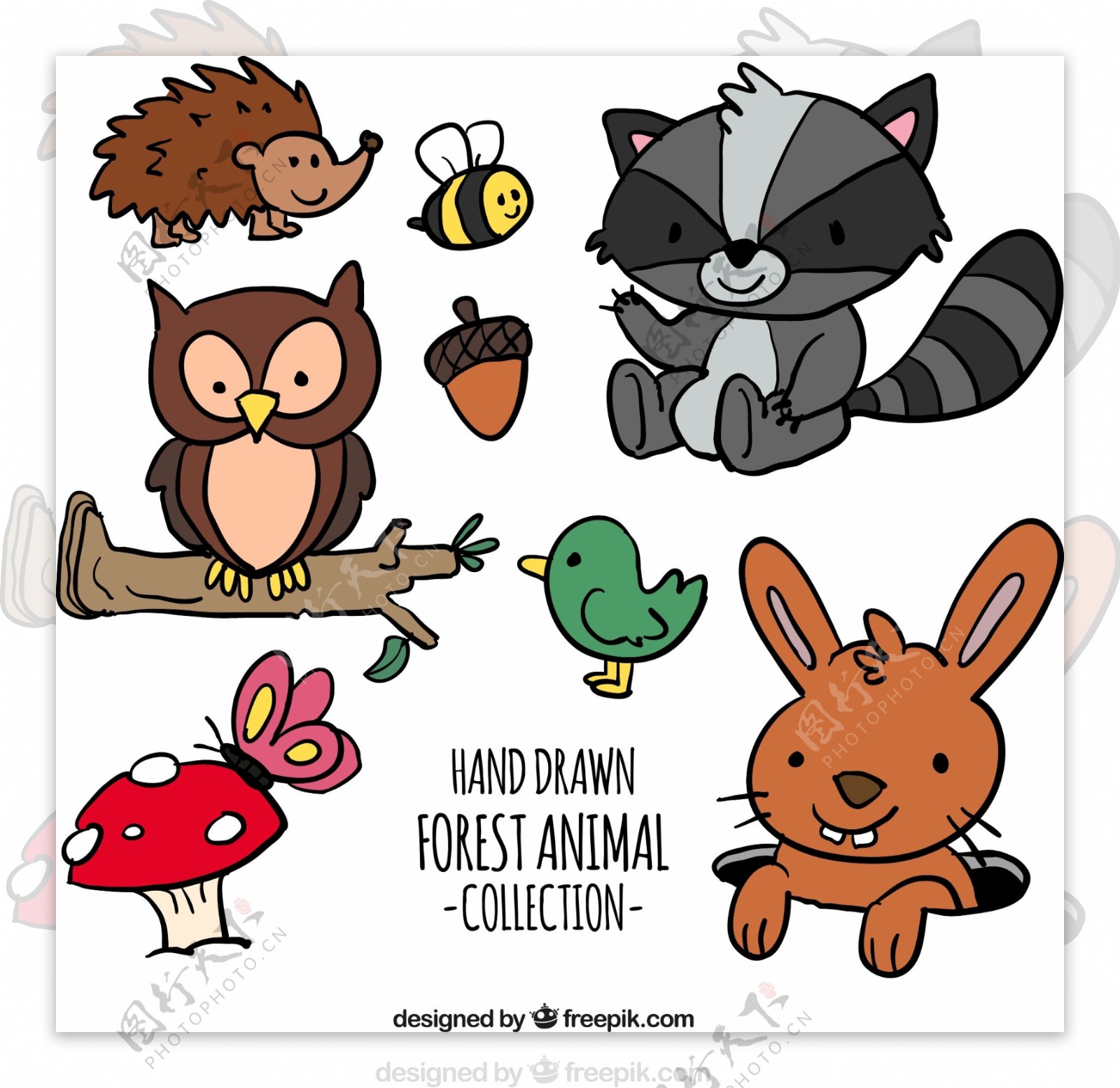 7款彩绘森林动物矢量素材