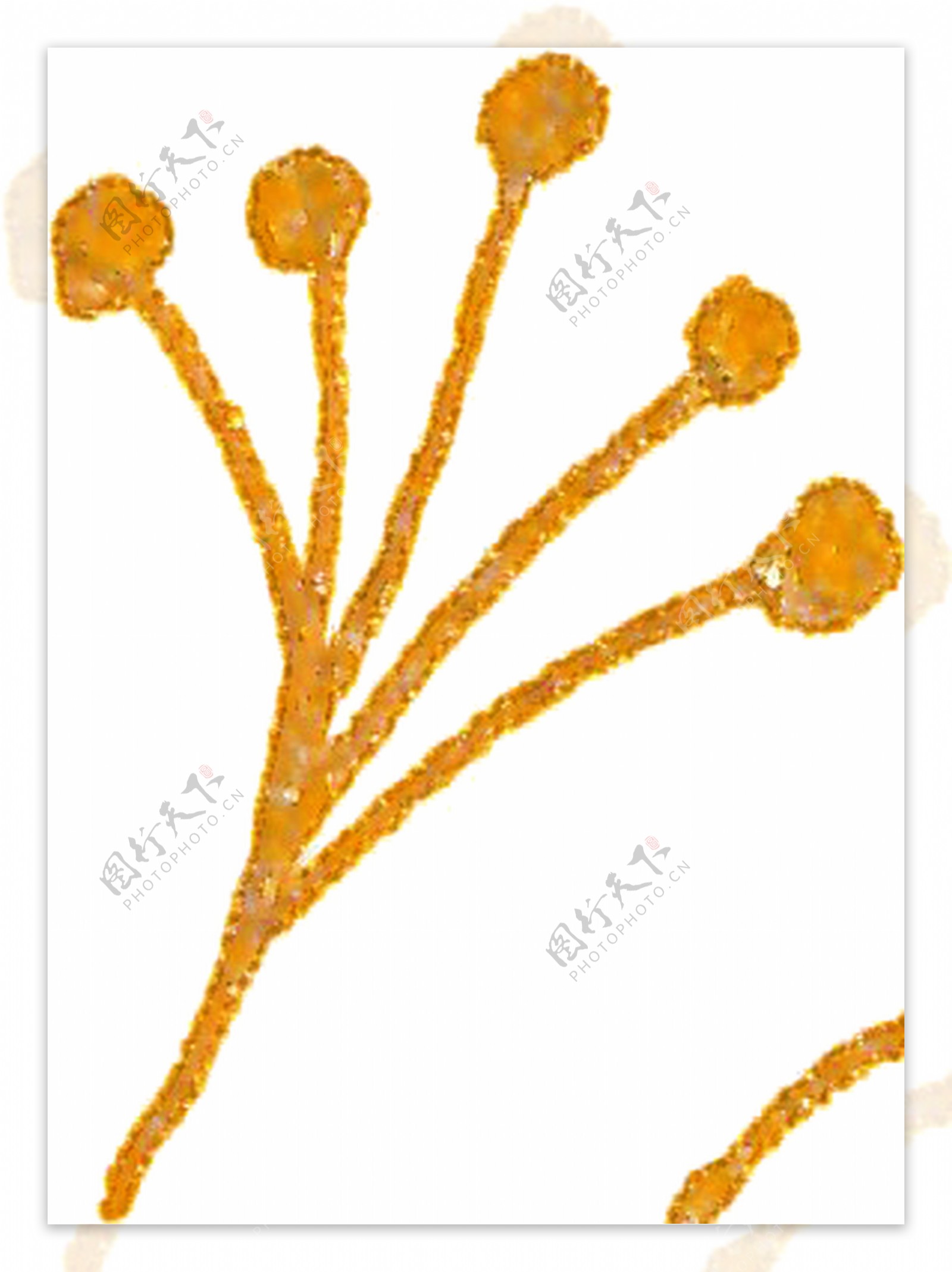 秋黄水粉花卡通透明素材