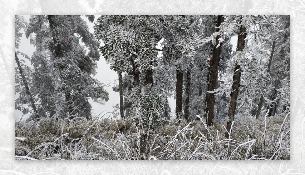 西岭雪山