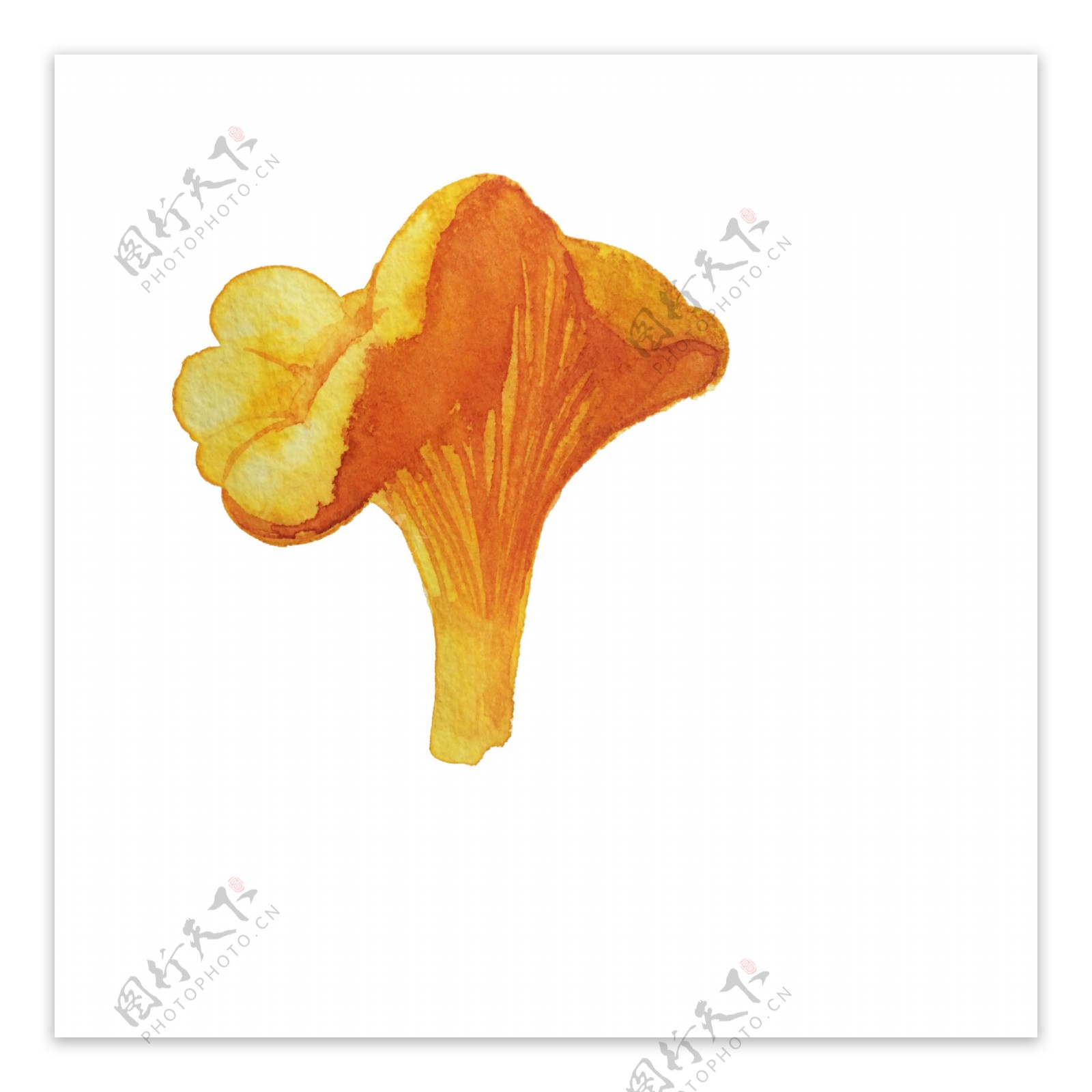 金黄蘑菇卡通透明素材