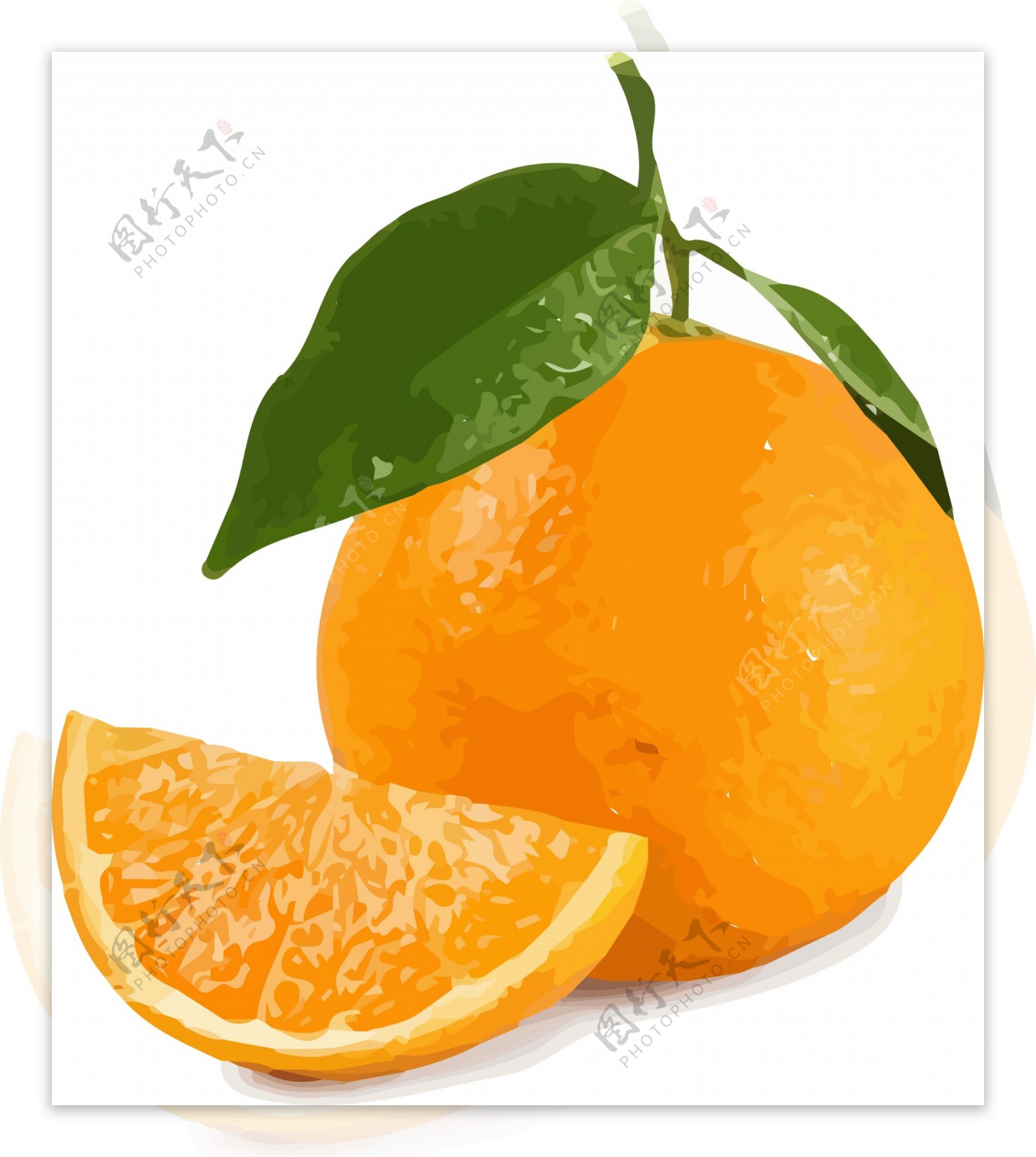 插画手绘橙色橙水果素材AI矢量水果元素