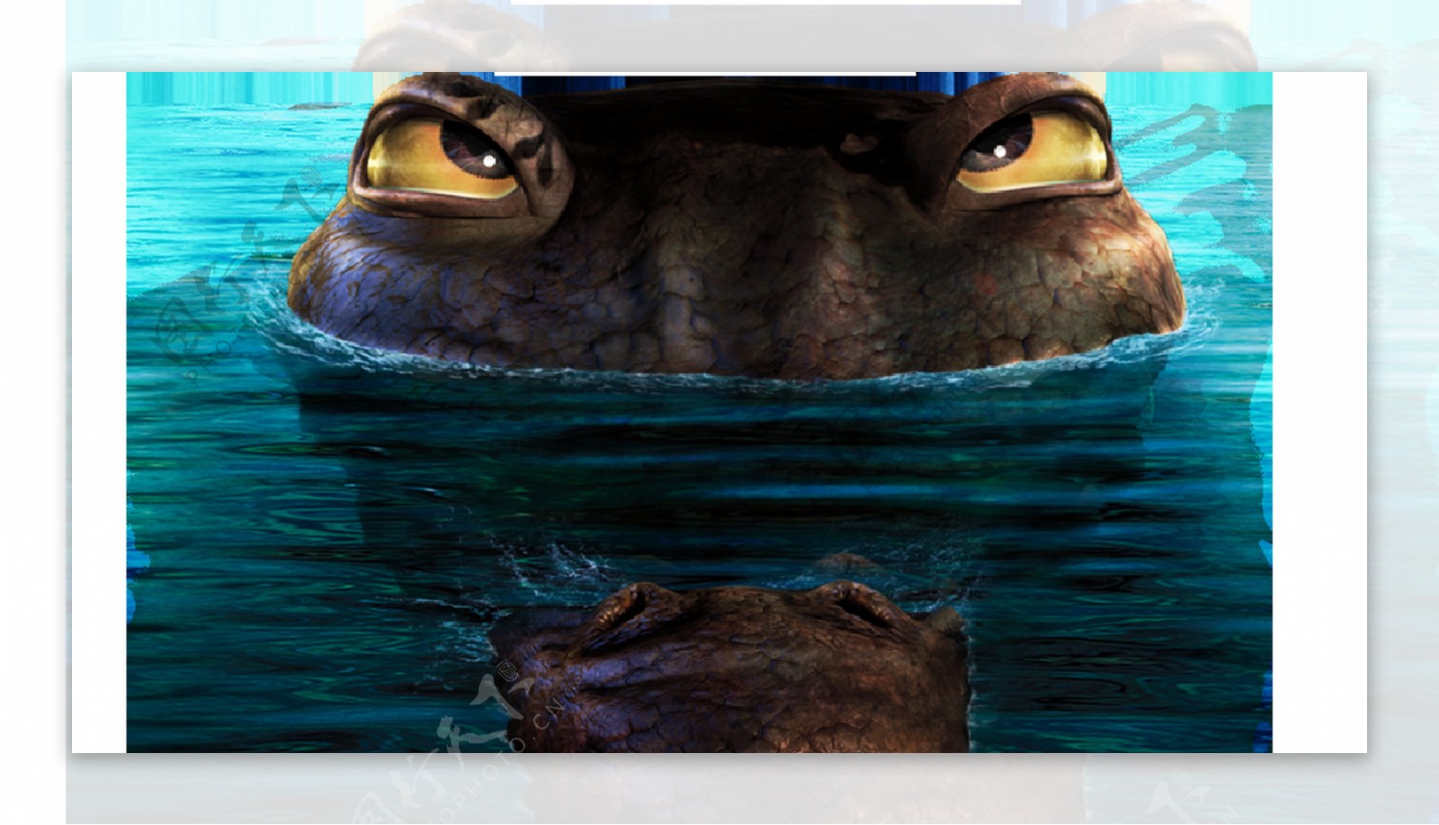 青蛙眼睛透明素材