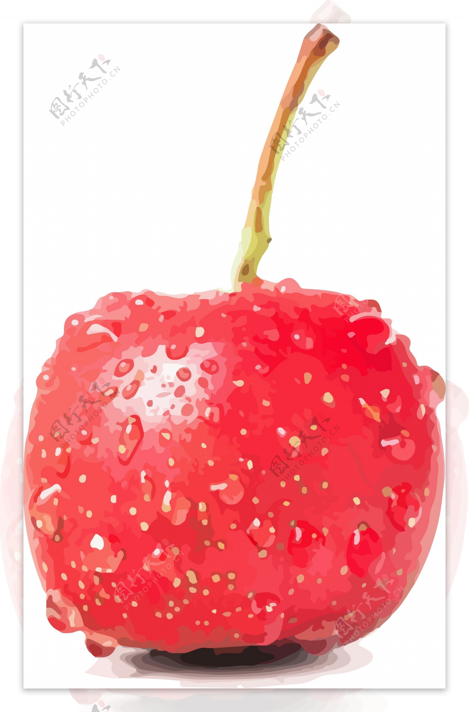 插画手绘红色山楂水果素材AI矢量水果元素