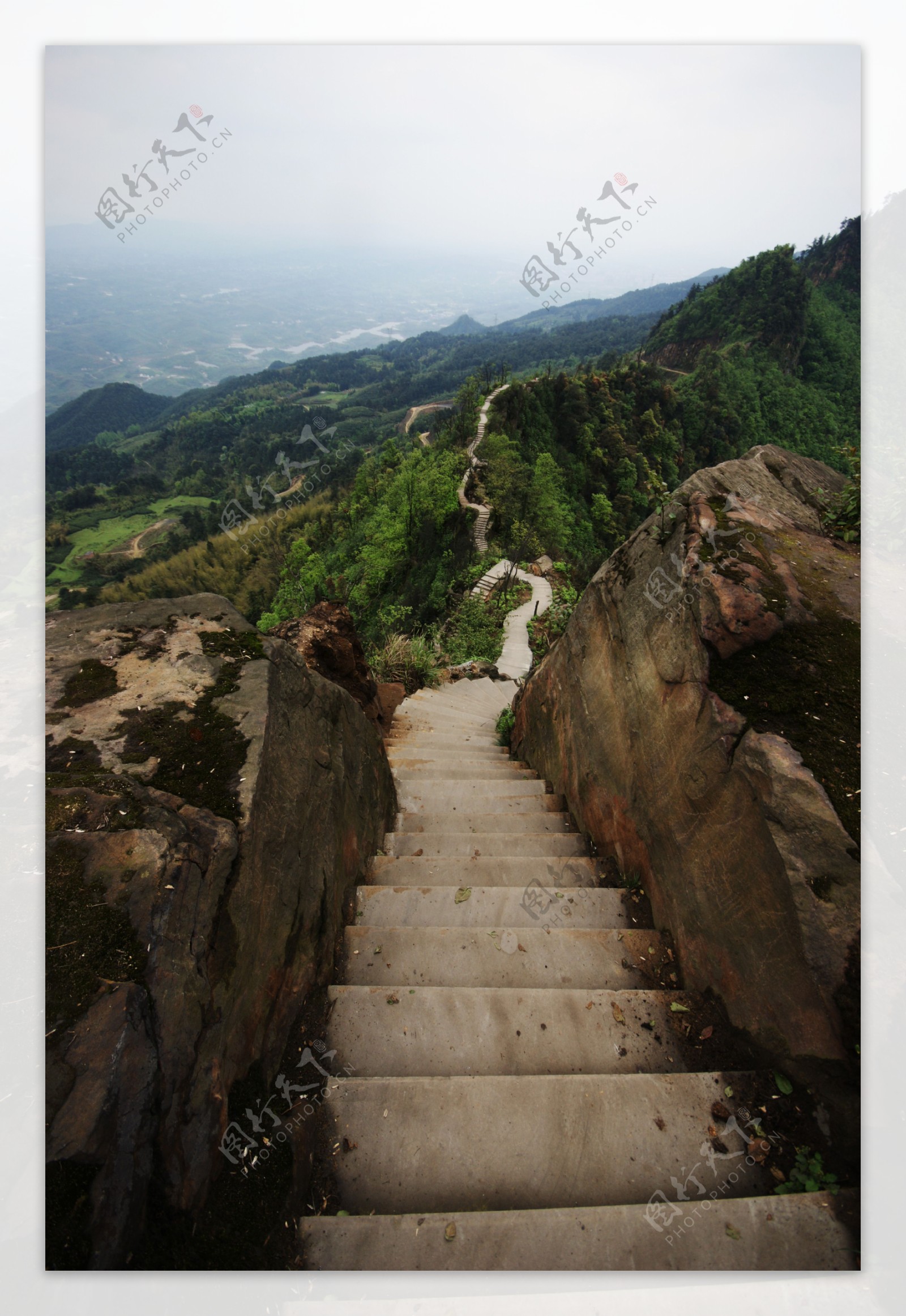 茶山竹海