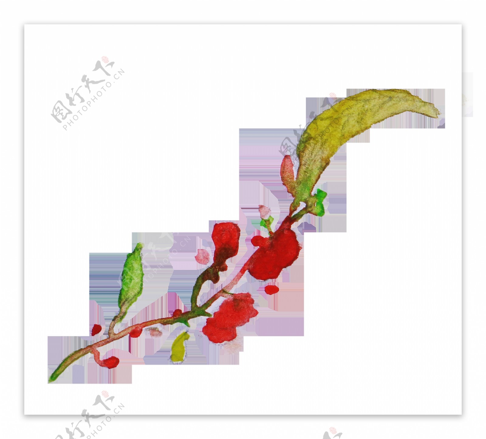 红色花枝透明装饰素材