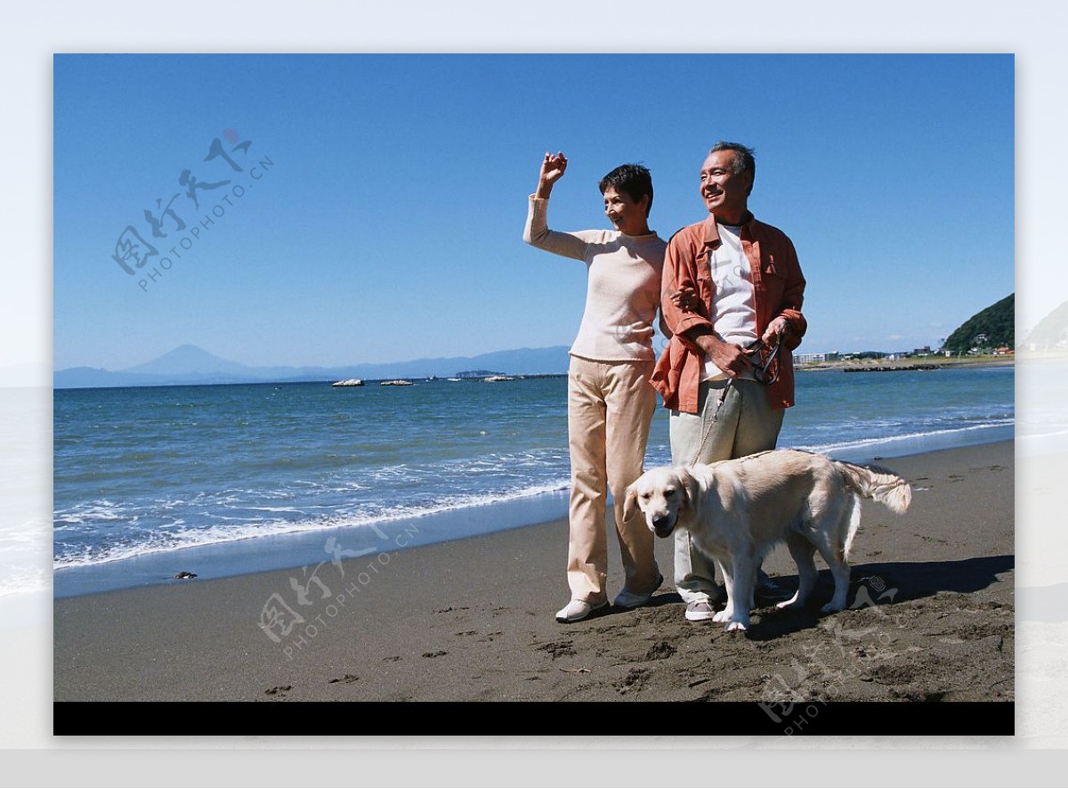 老年夫妻海边遛狗