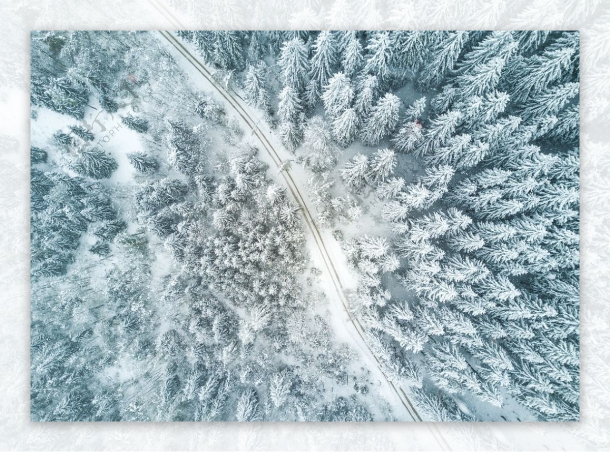 俯瞰大雪覆盖的森林风景