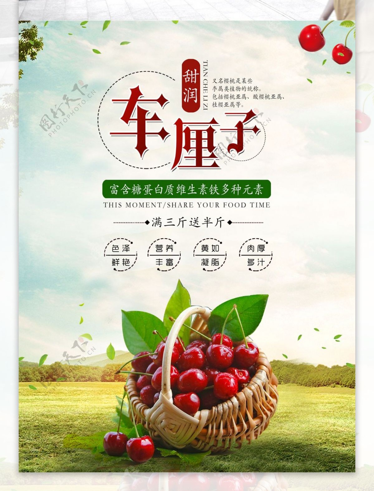清新车厘子樱桃水果促销宣传海报