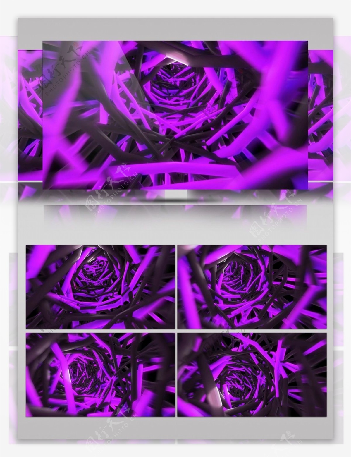 紫色玫瑰视频素材
