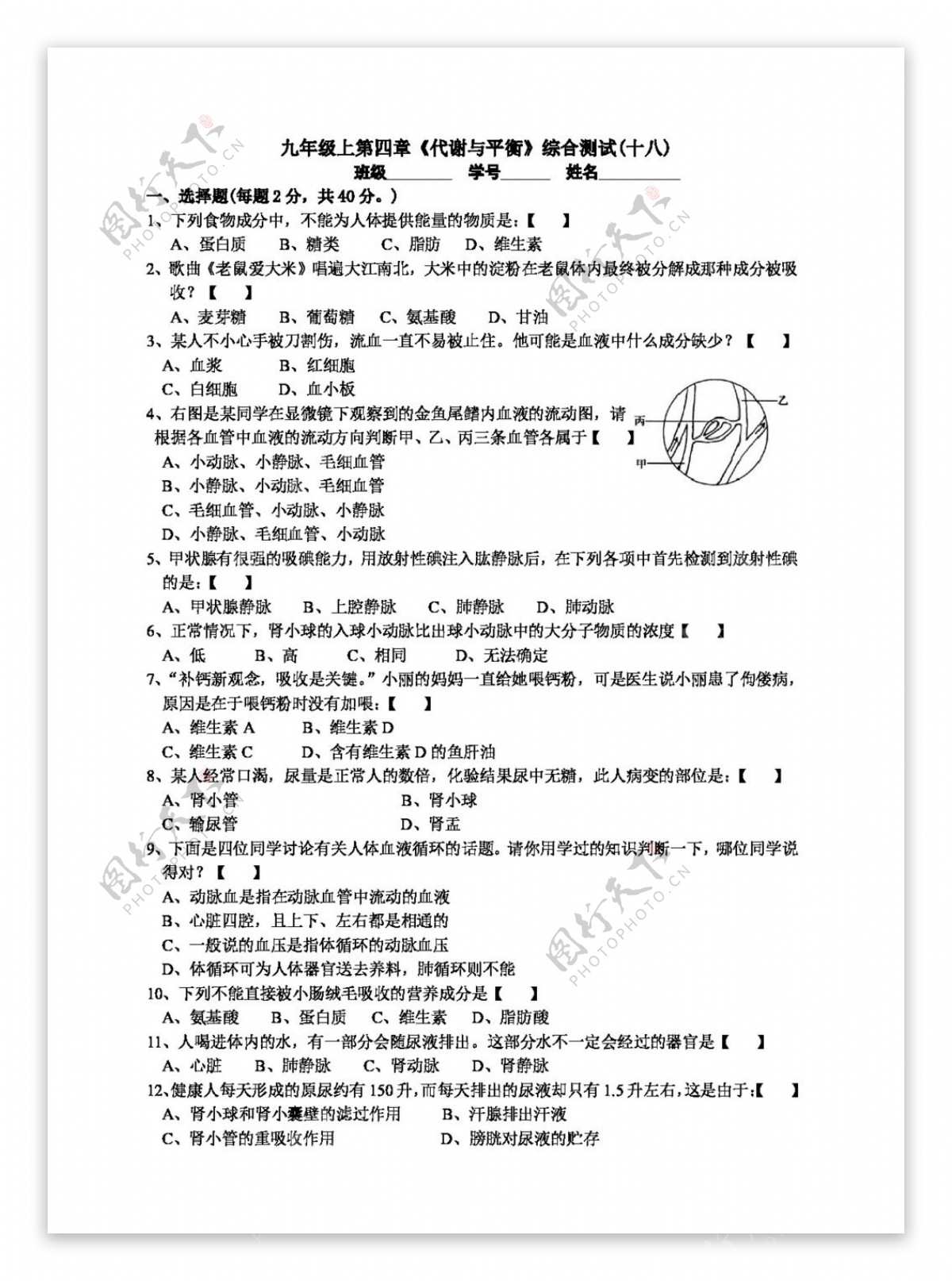 九年级上科学九年级上第四章代谢与平衡综合测试