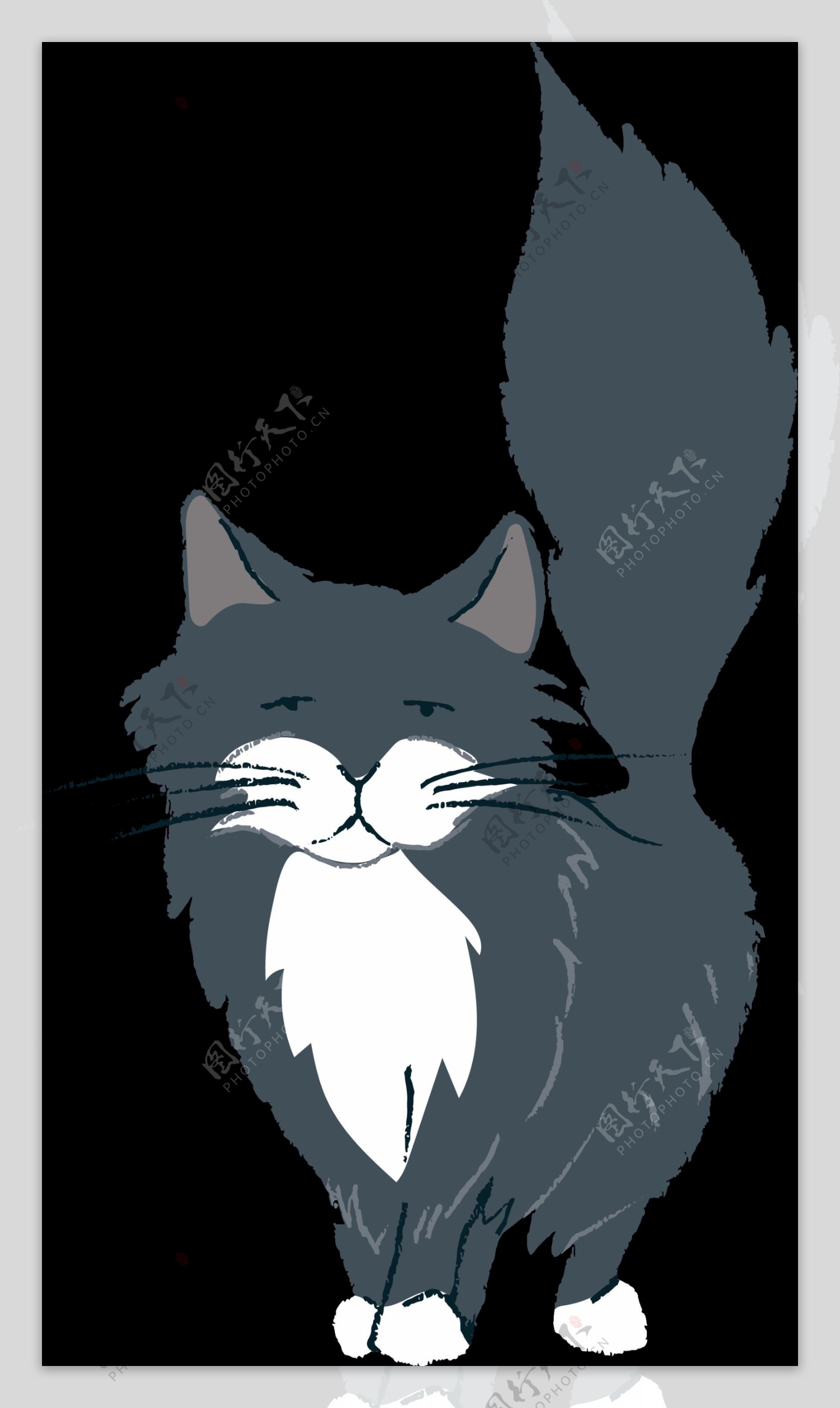 深灰色眯眼的猫透明猫咪素材